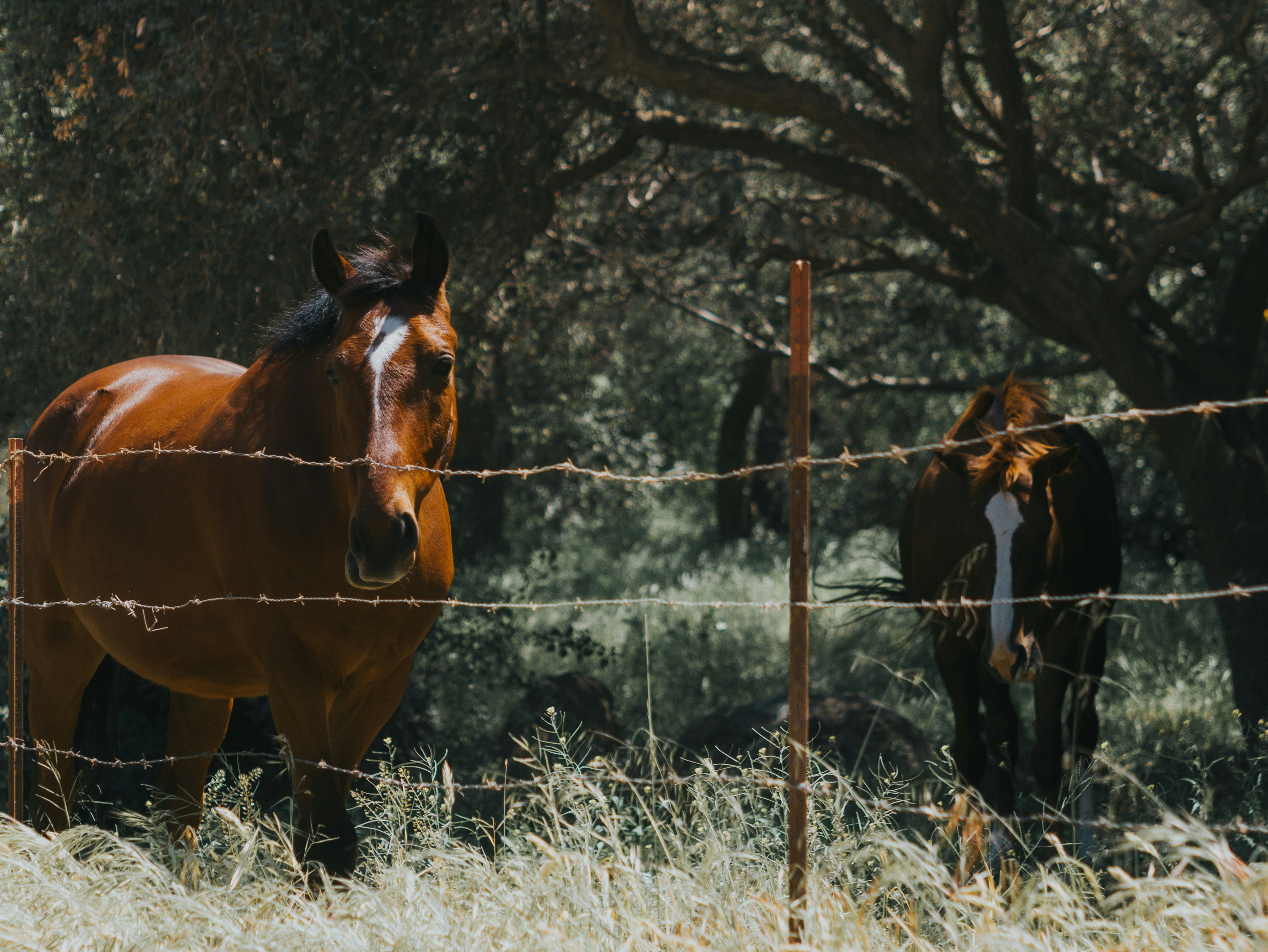 Photo by candegrapher