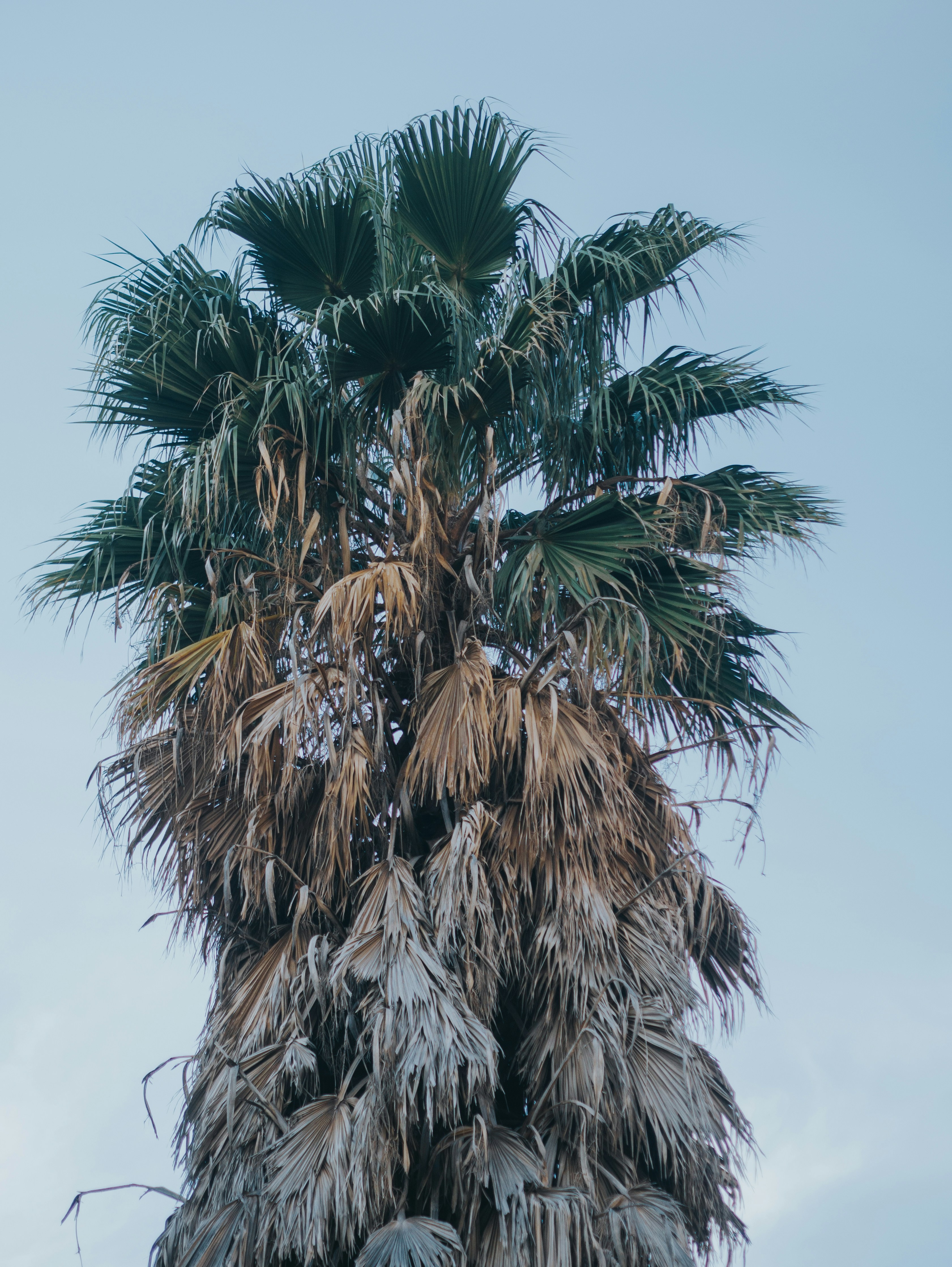 Photo by candegrapher