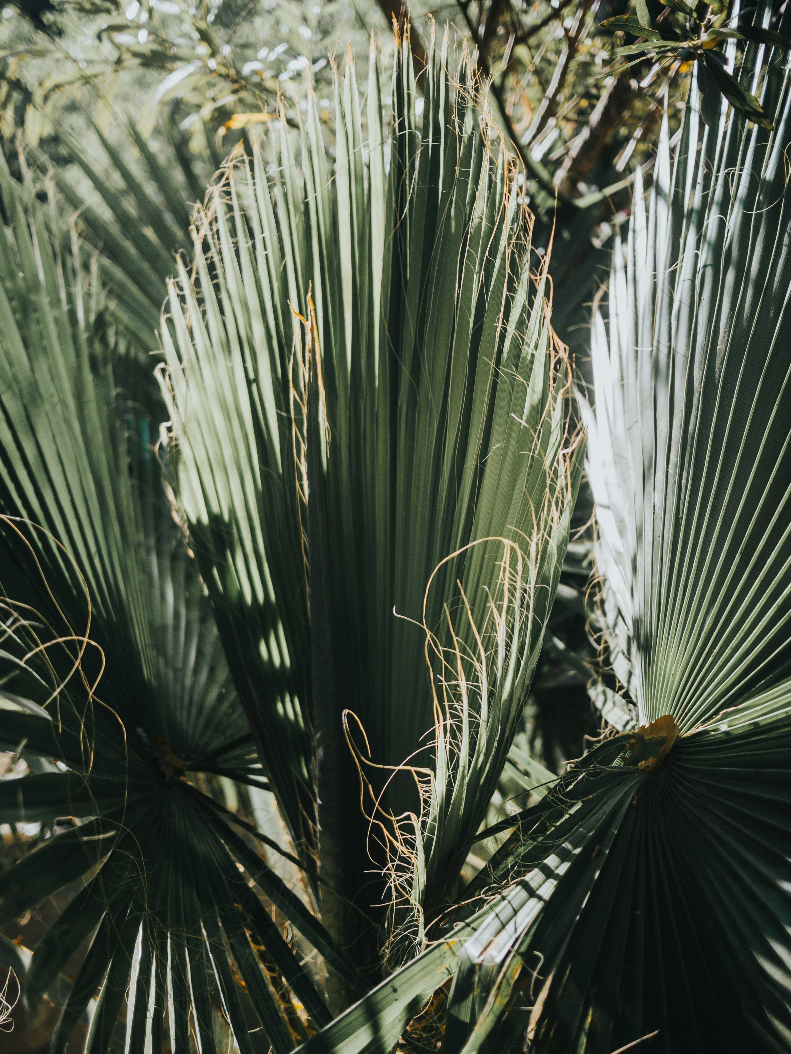 Photo by candegrapher