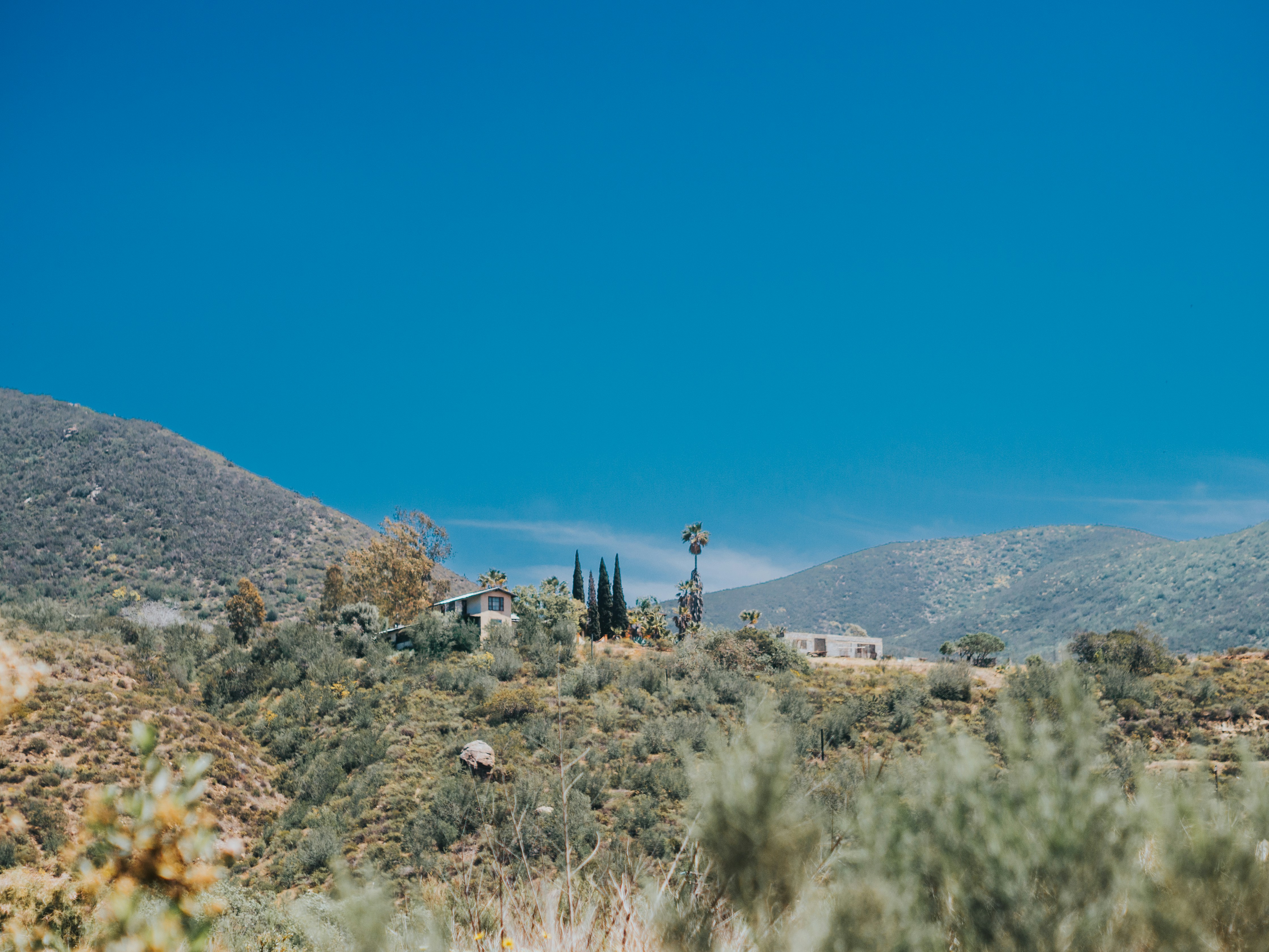 Photo by candegrapher