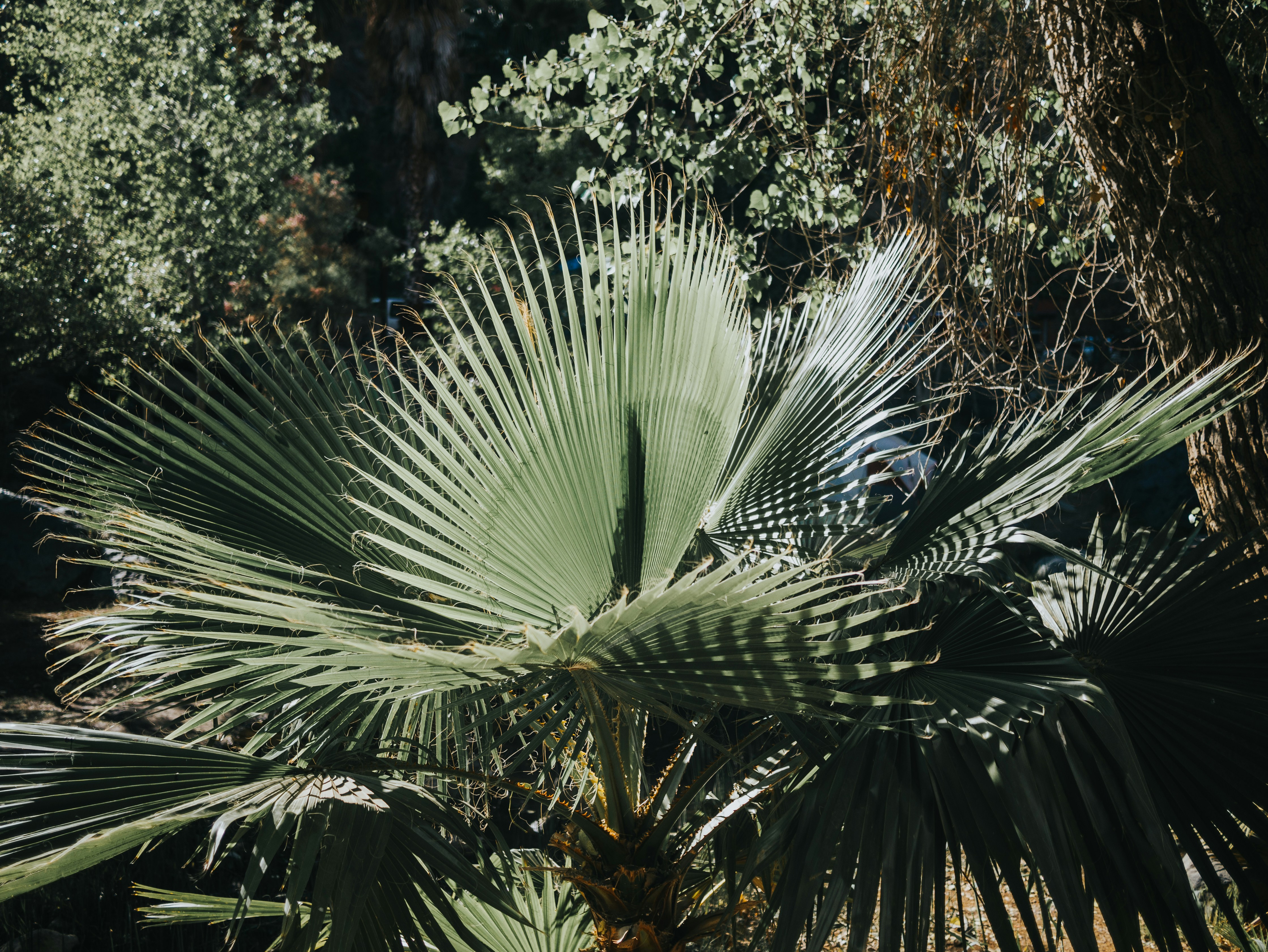 Photo by candegrapher