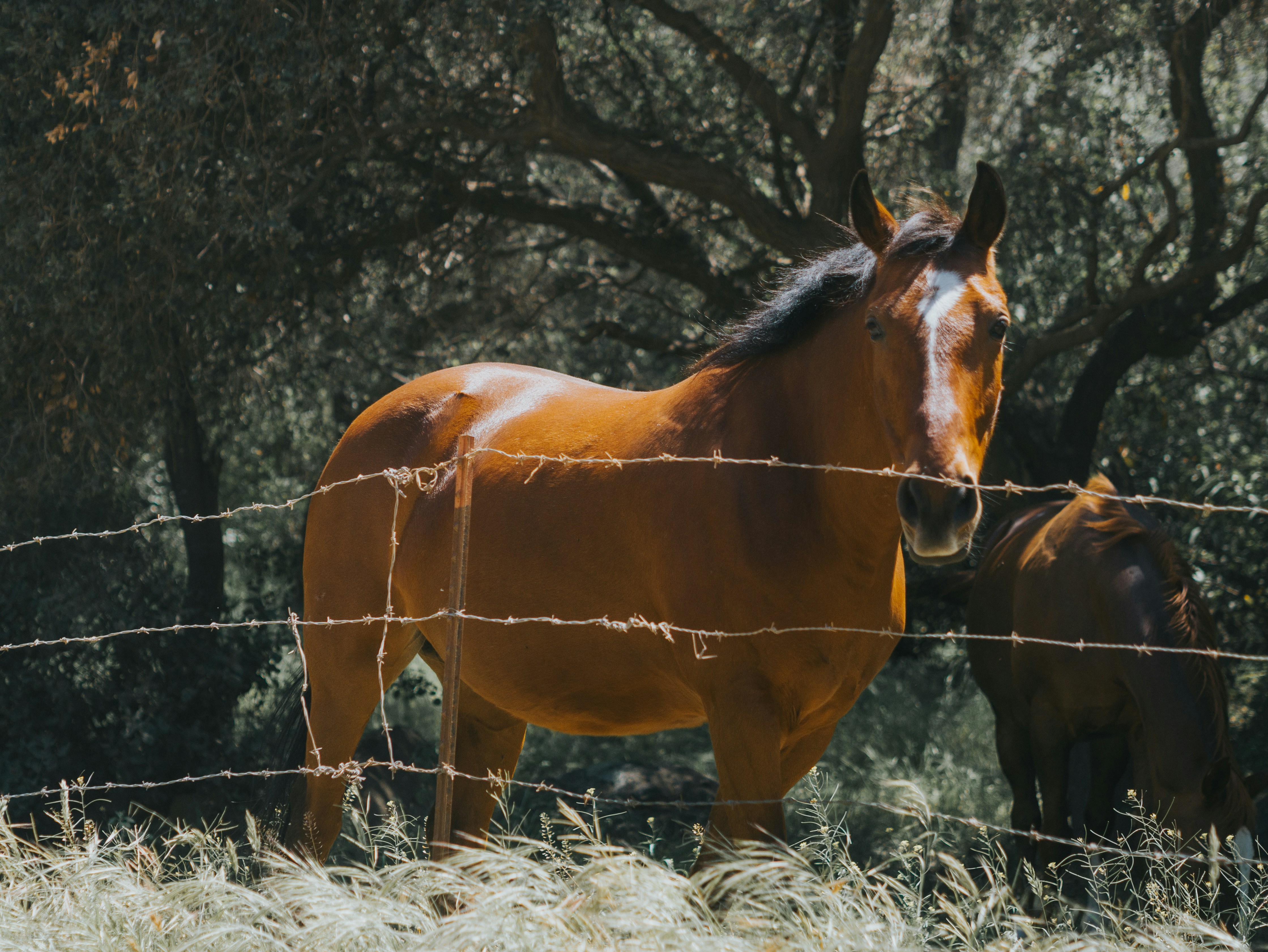 Photo by candegrapher