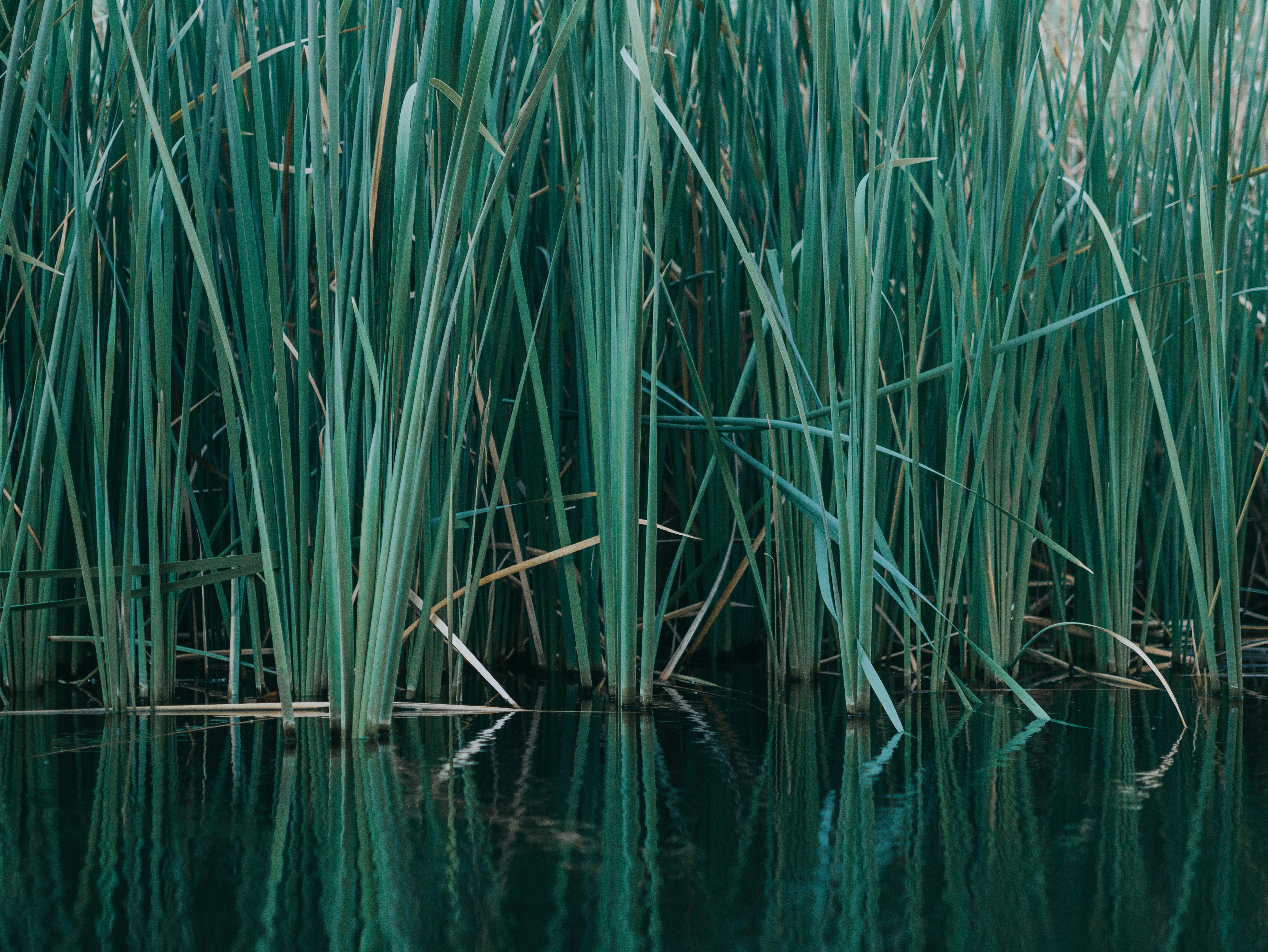 Photo by candegrapher