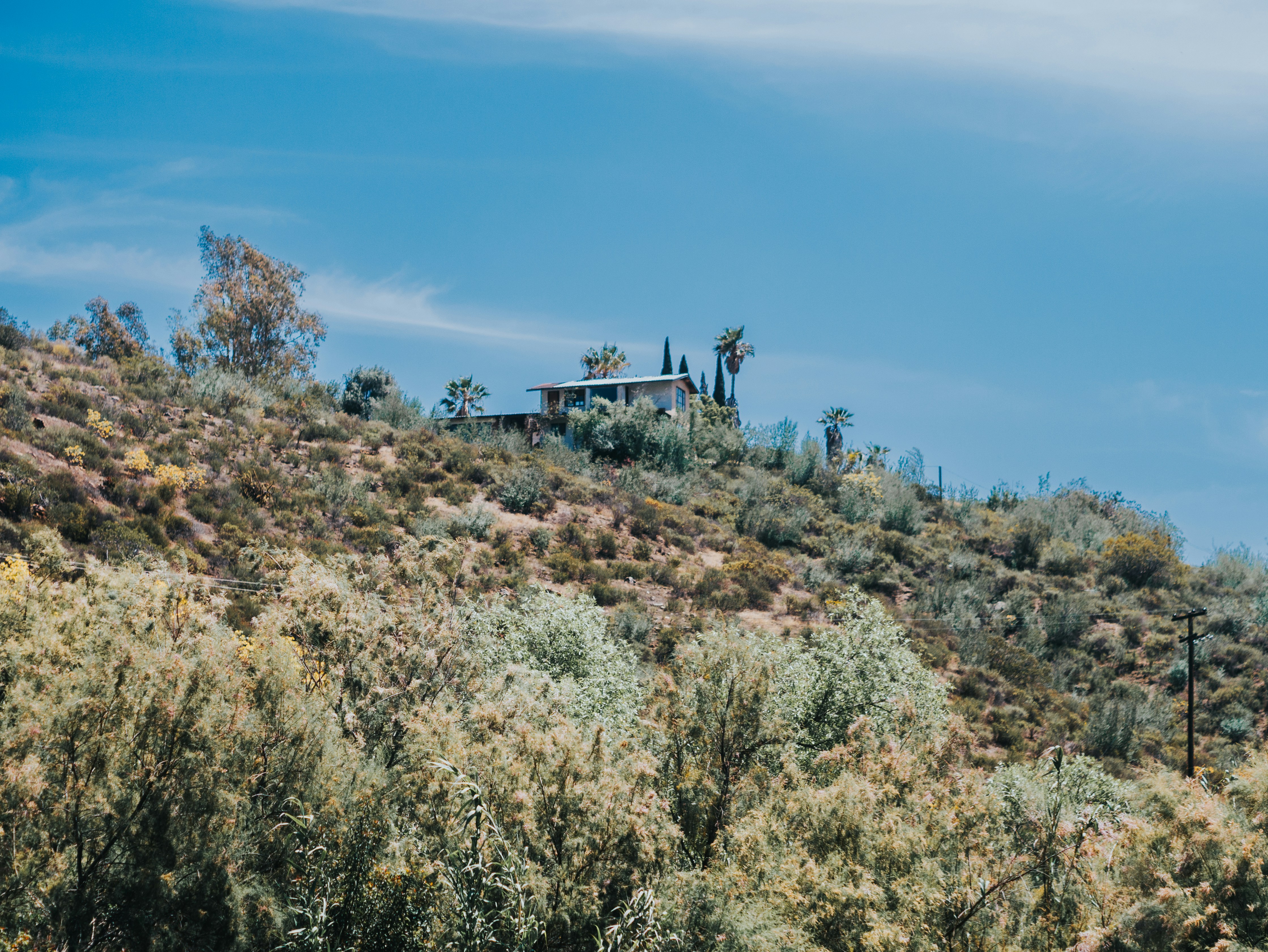 Photo by candegrapher