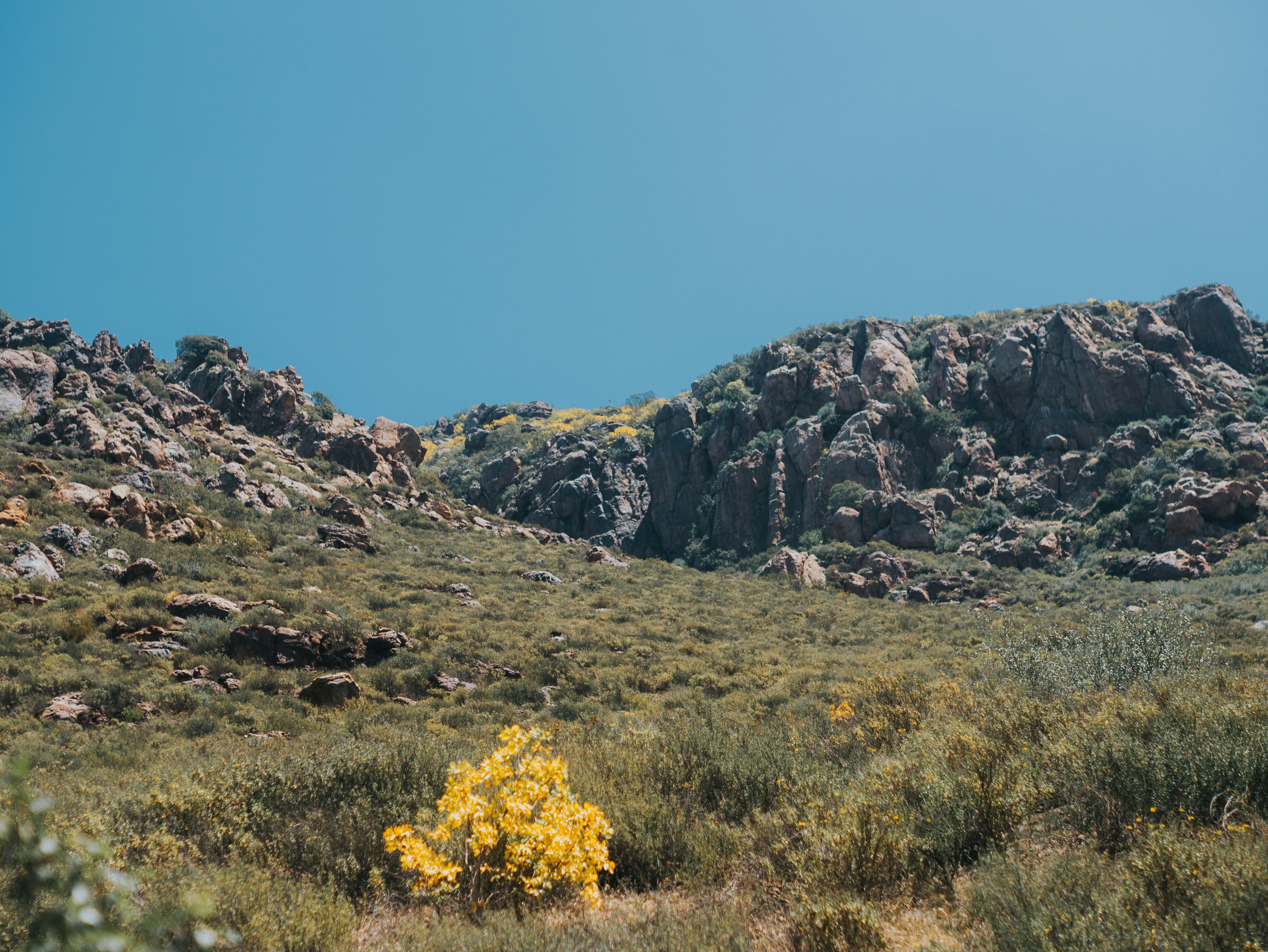 Photo by candegrapher