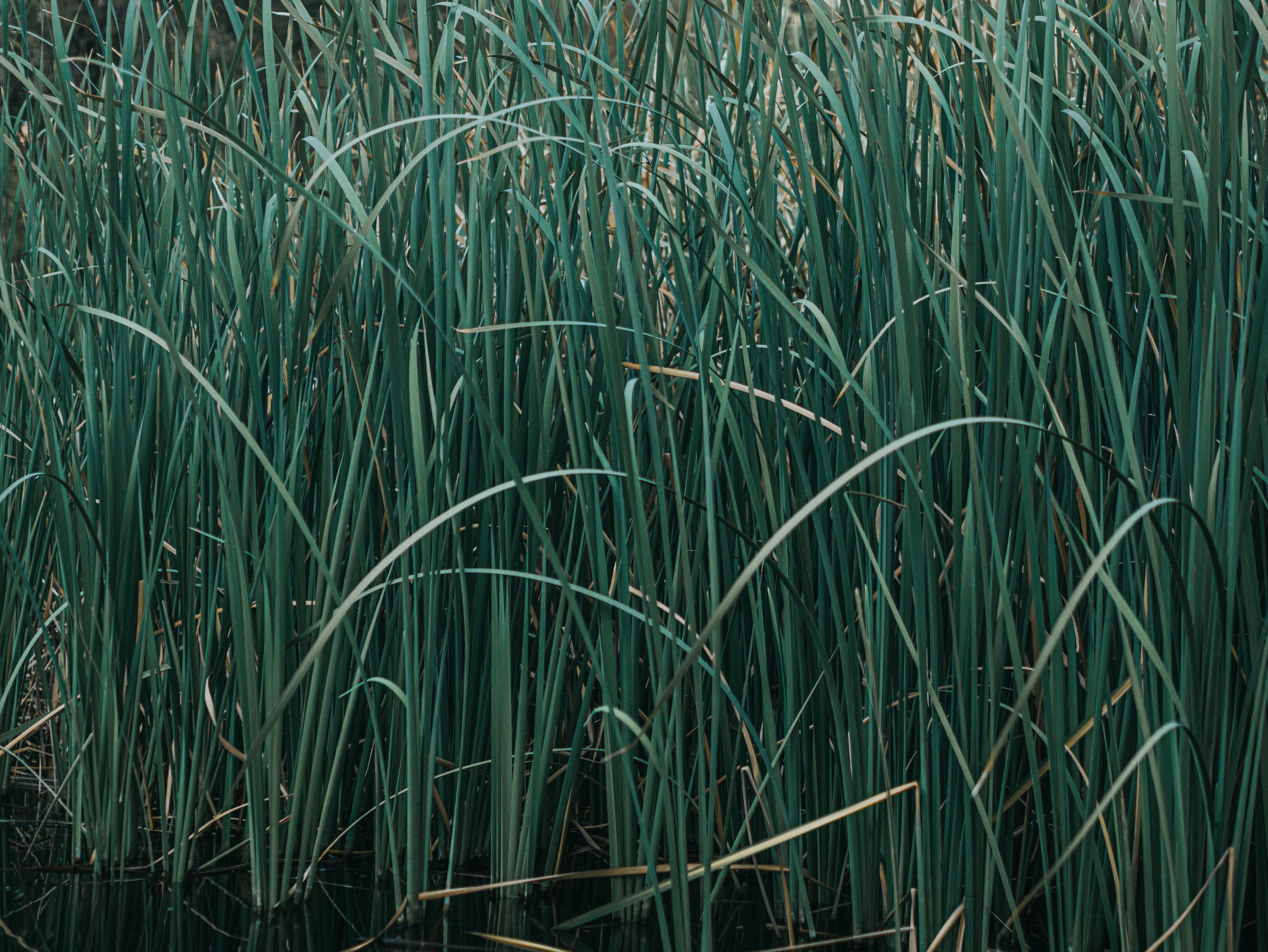 Photo by candegrapher