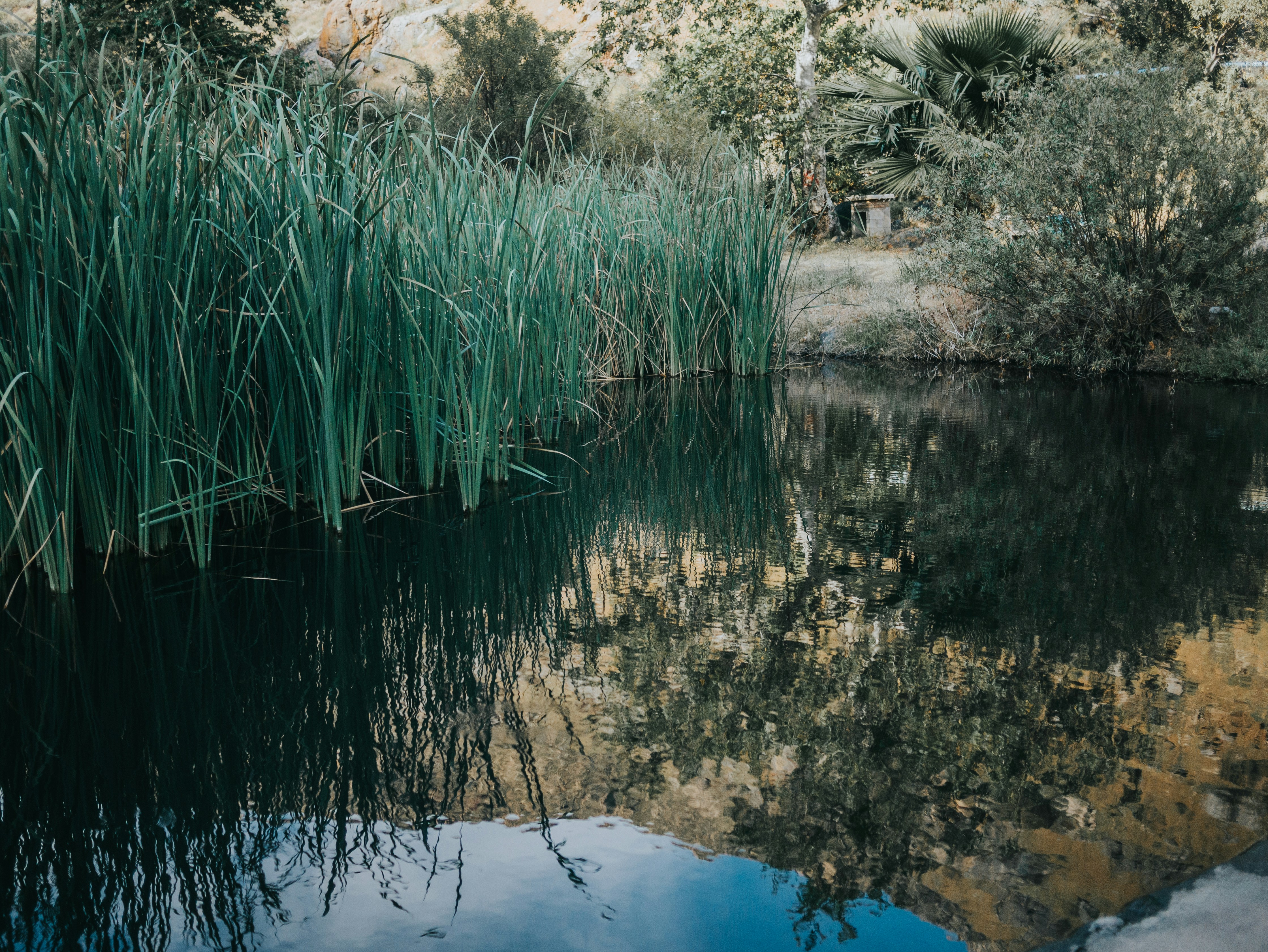 Photo by candegrapher