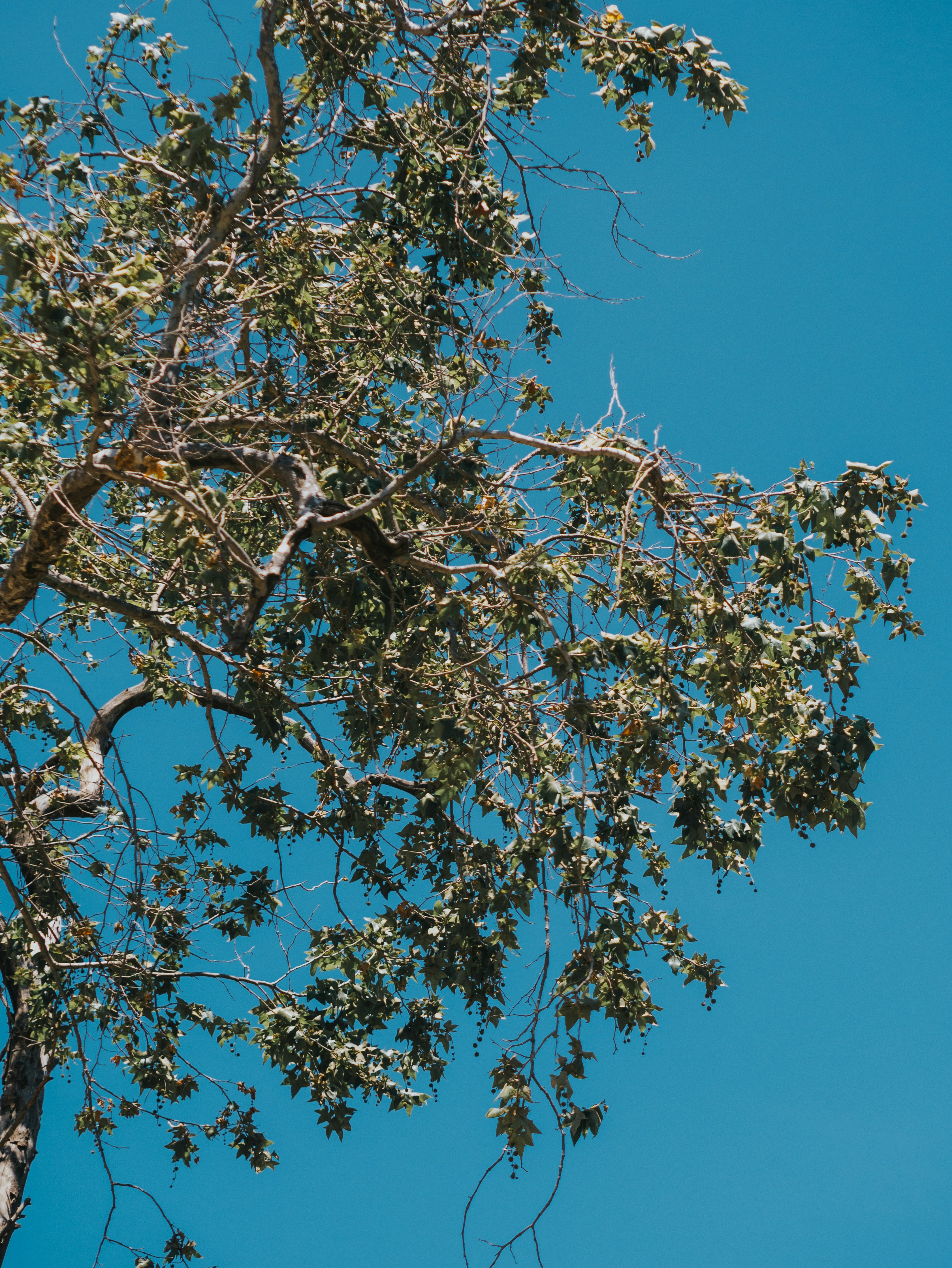 Photo by candegrapher