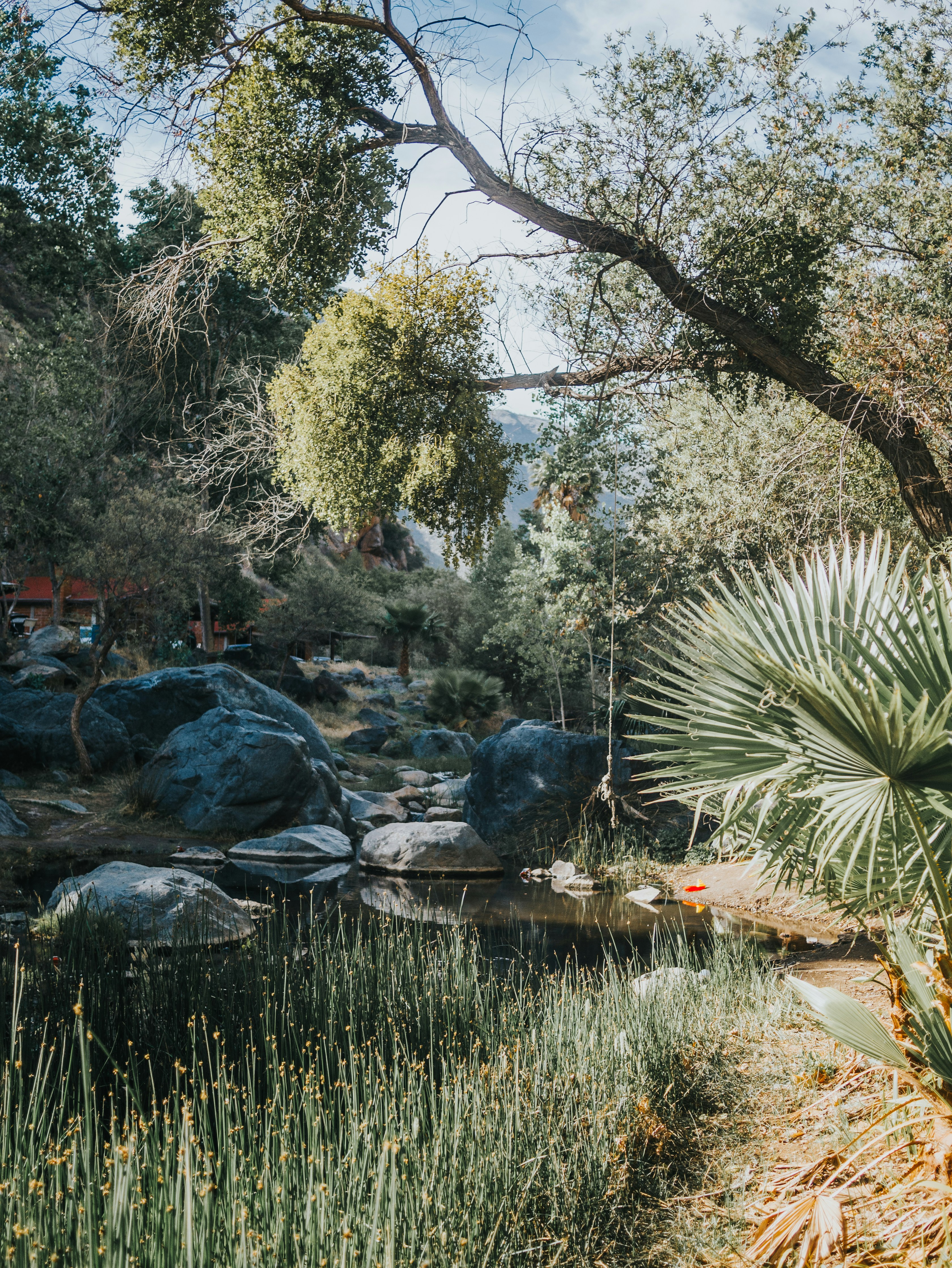 Спокойный природный пейзаж — принятие и покой