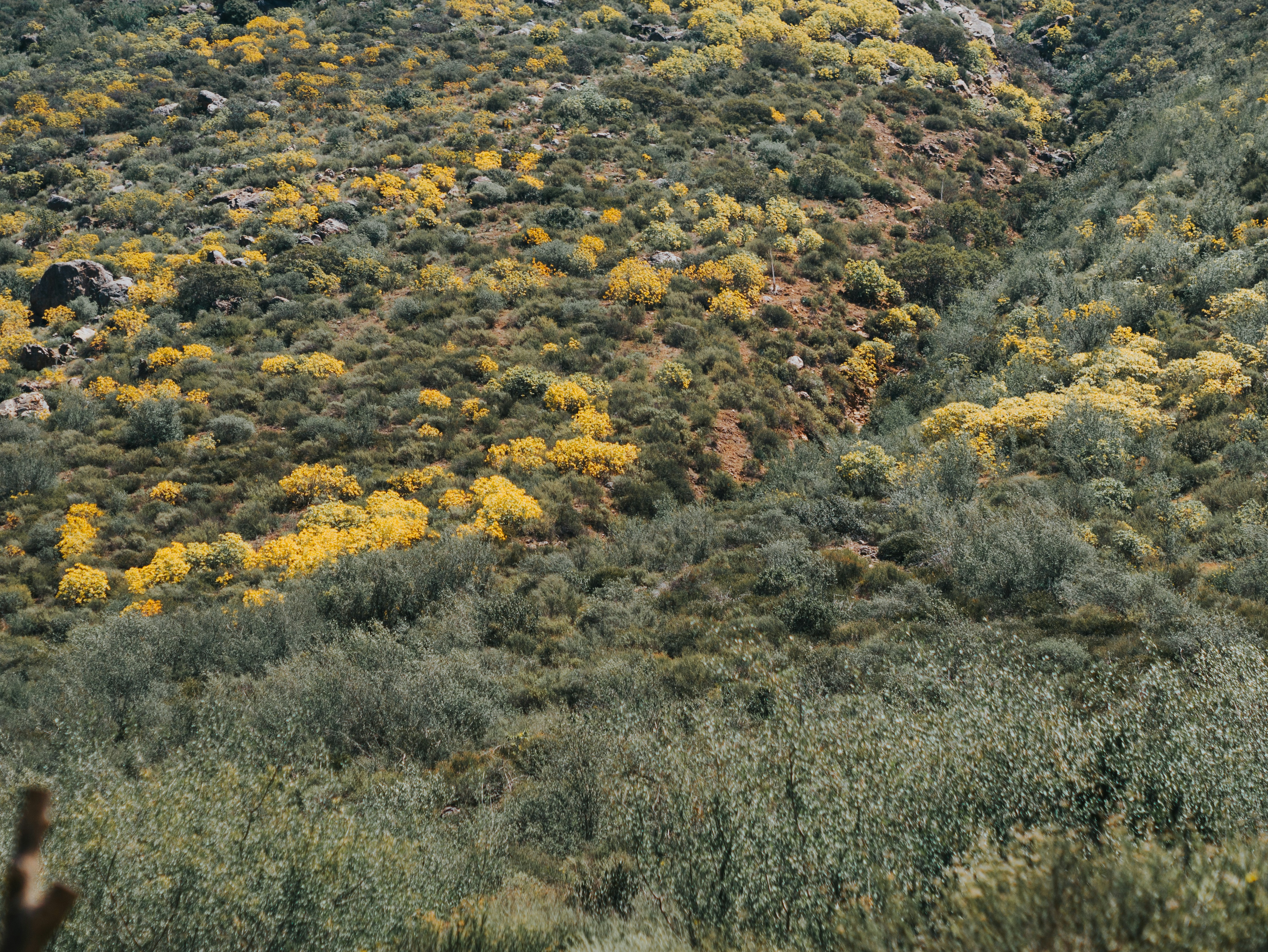 Photo by candegrapher