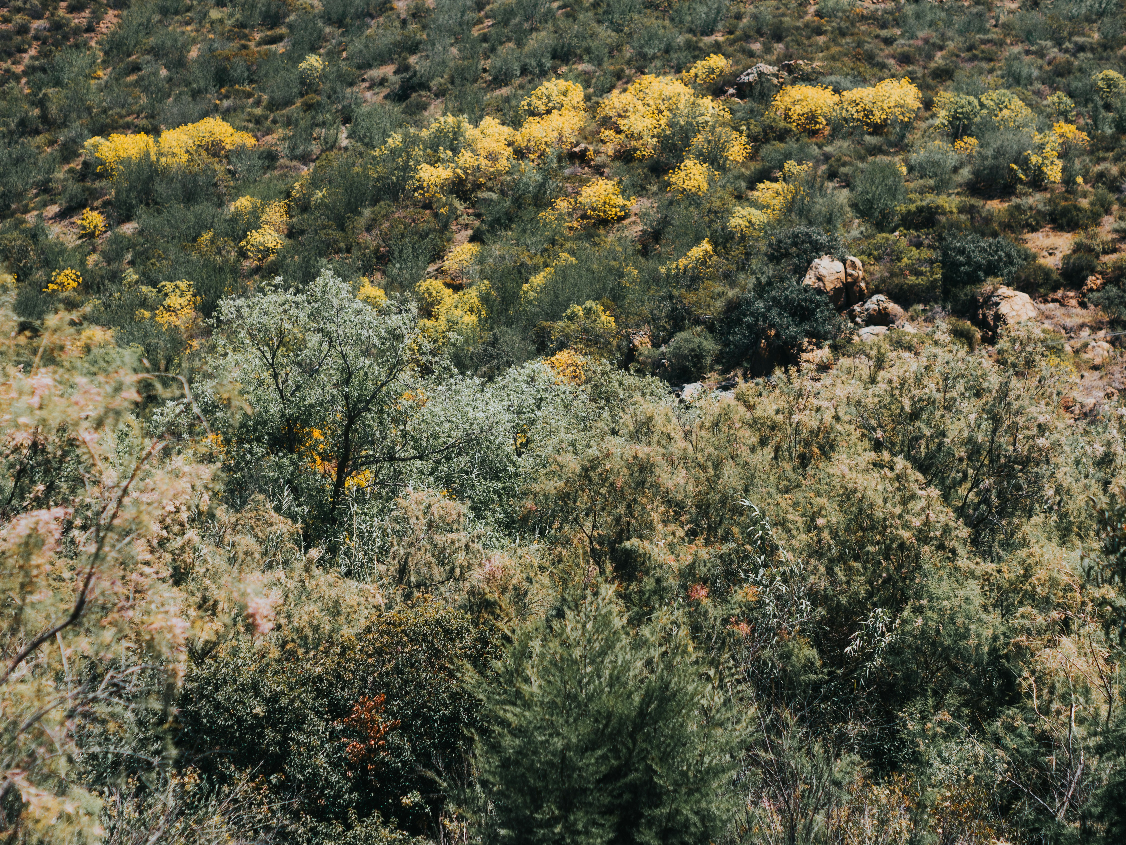 Photo by candegrapher