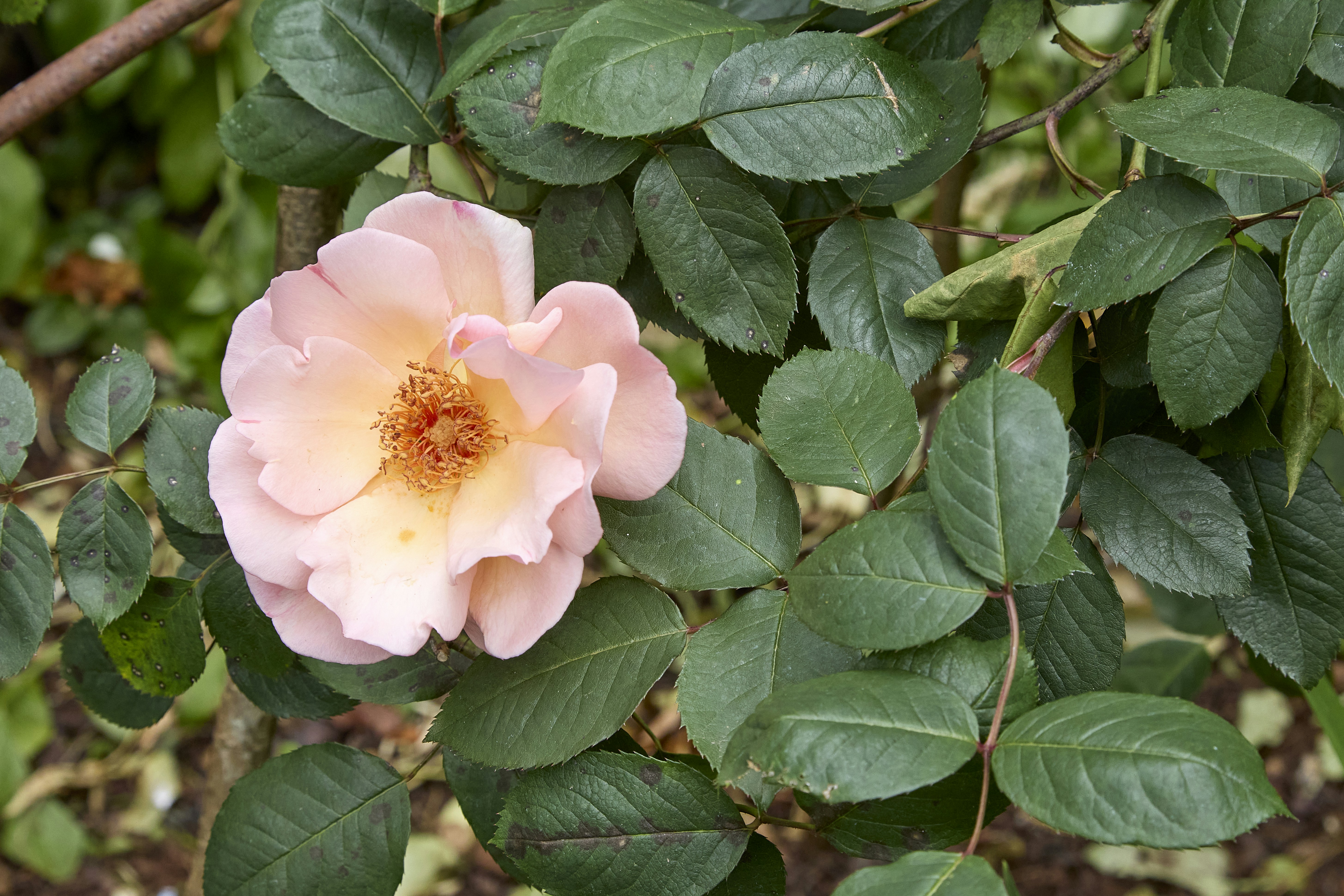 Photo by stewartphotography