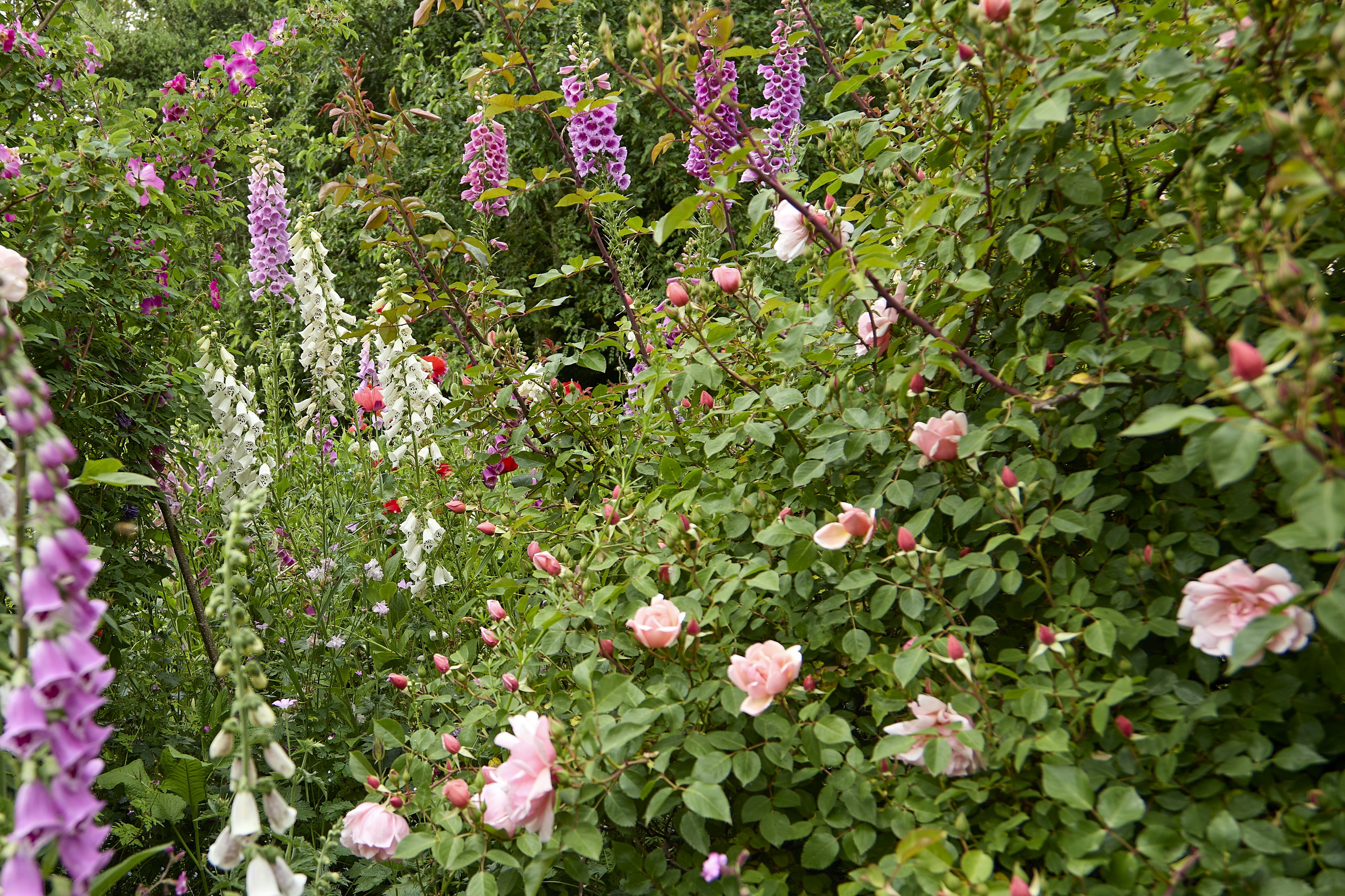 Photo by stewartphotography