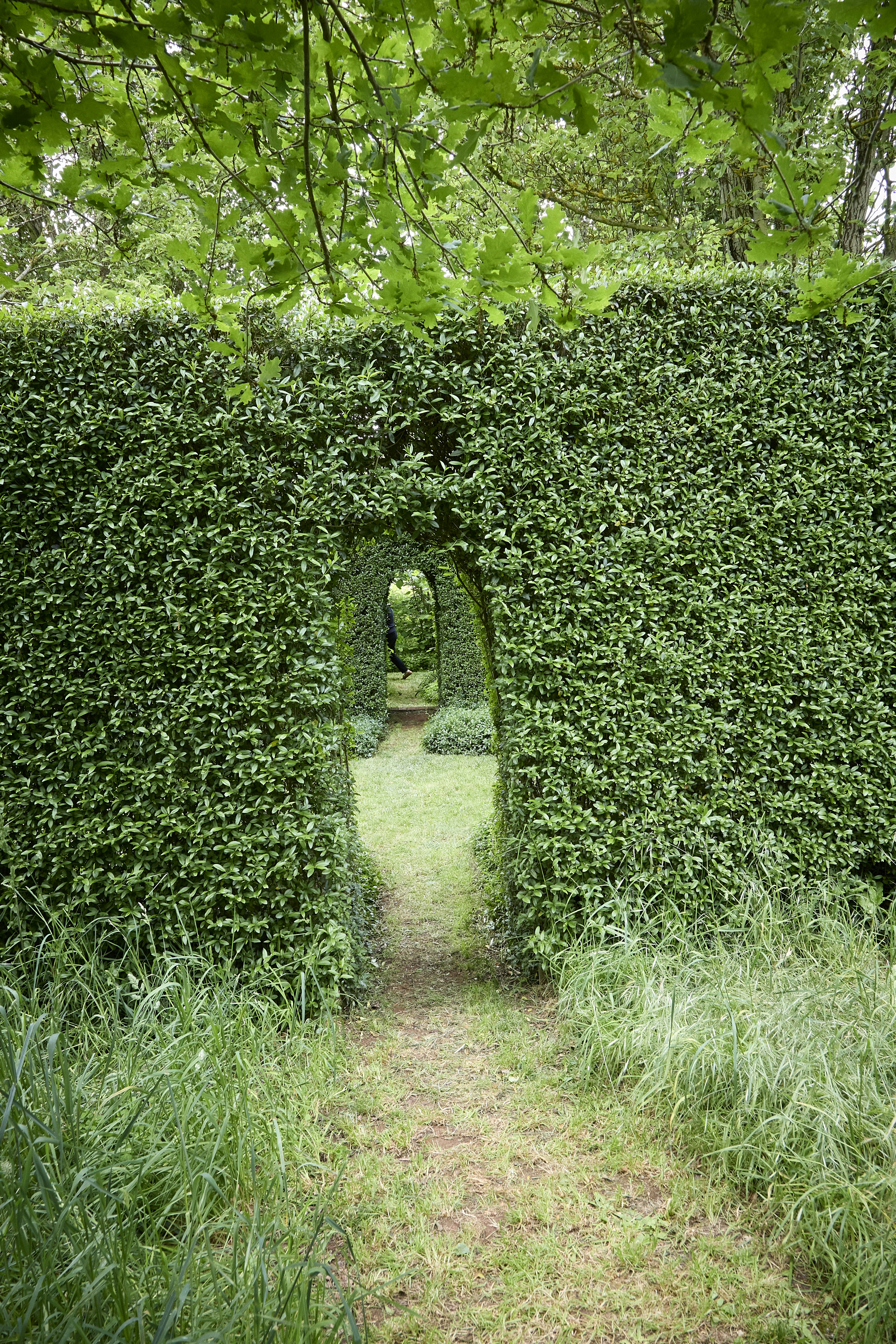 photo-1731303119435-2a482001230d?ixid=M3