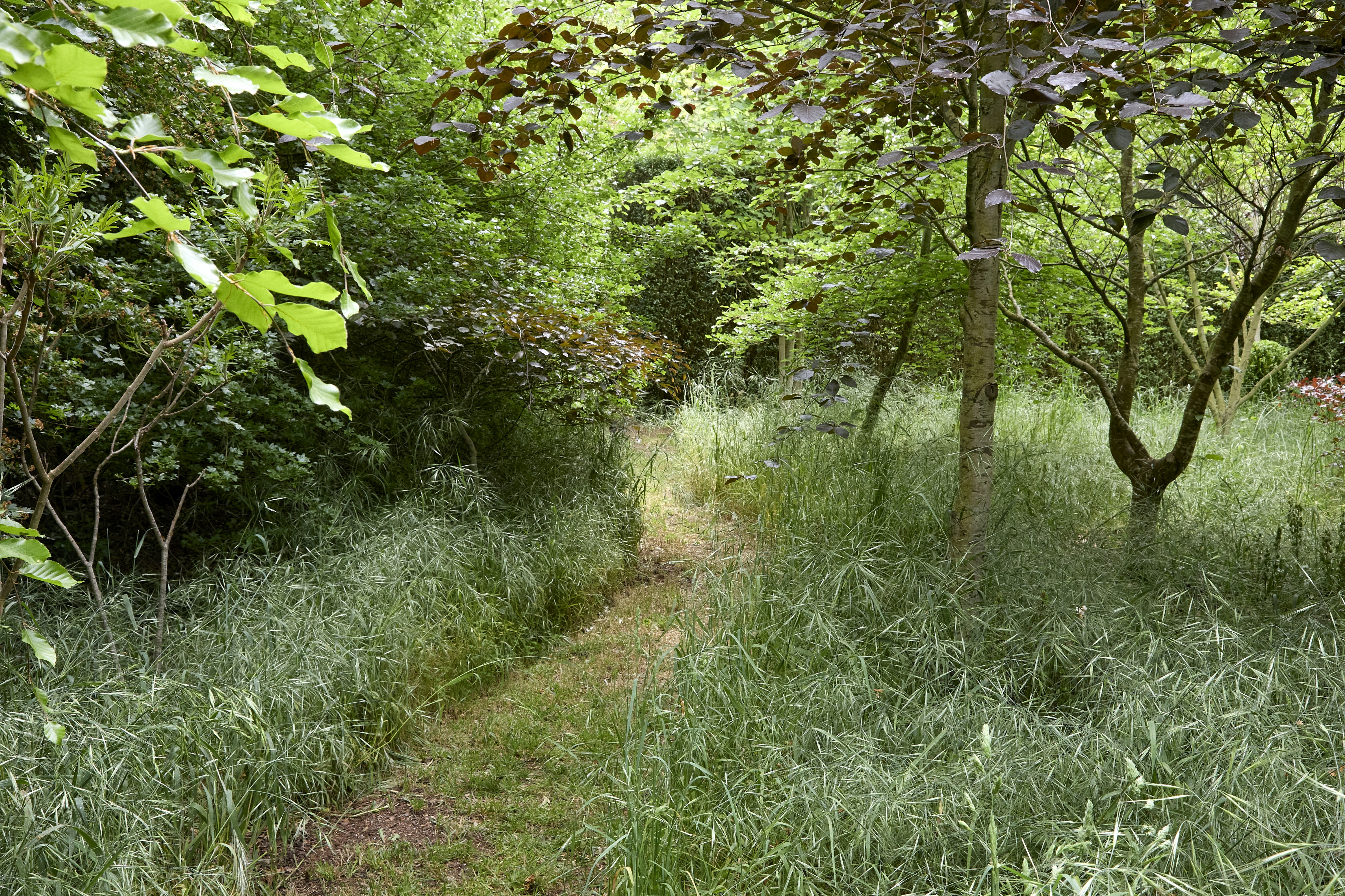 Photo by stewartphotography