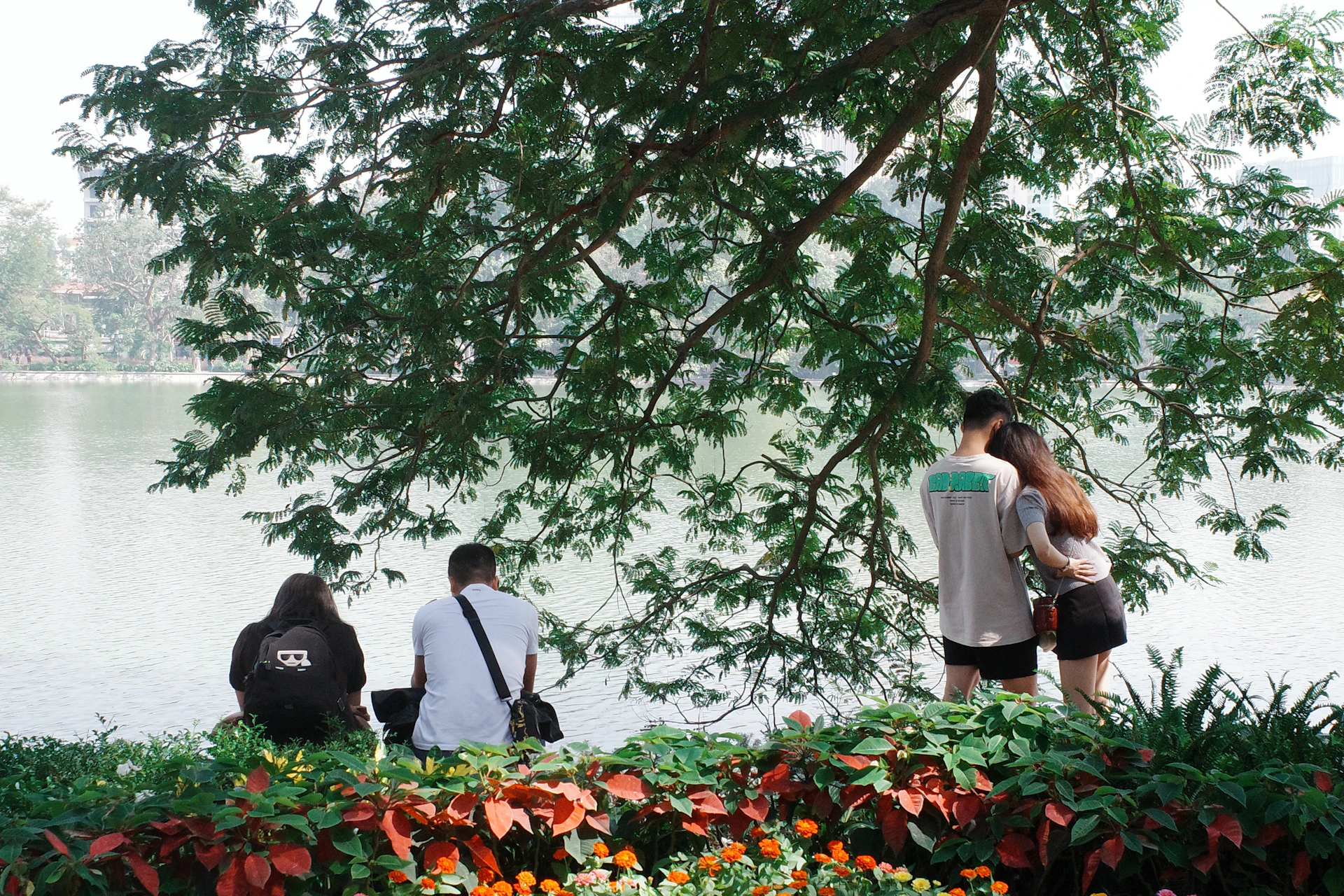 A group of people sitting under a tree next to a body of water
