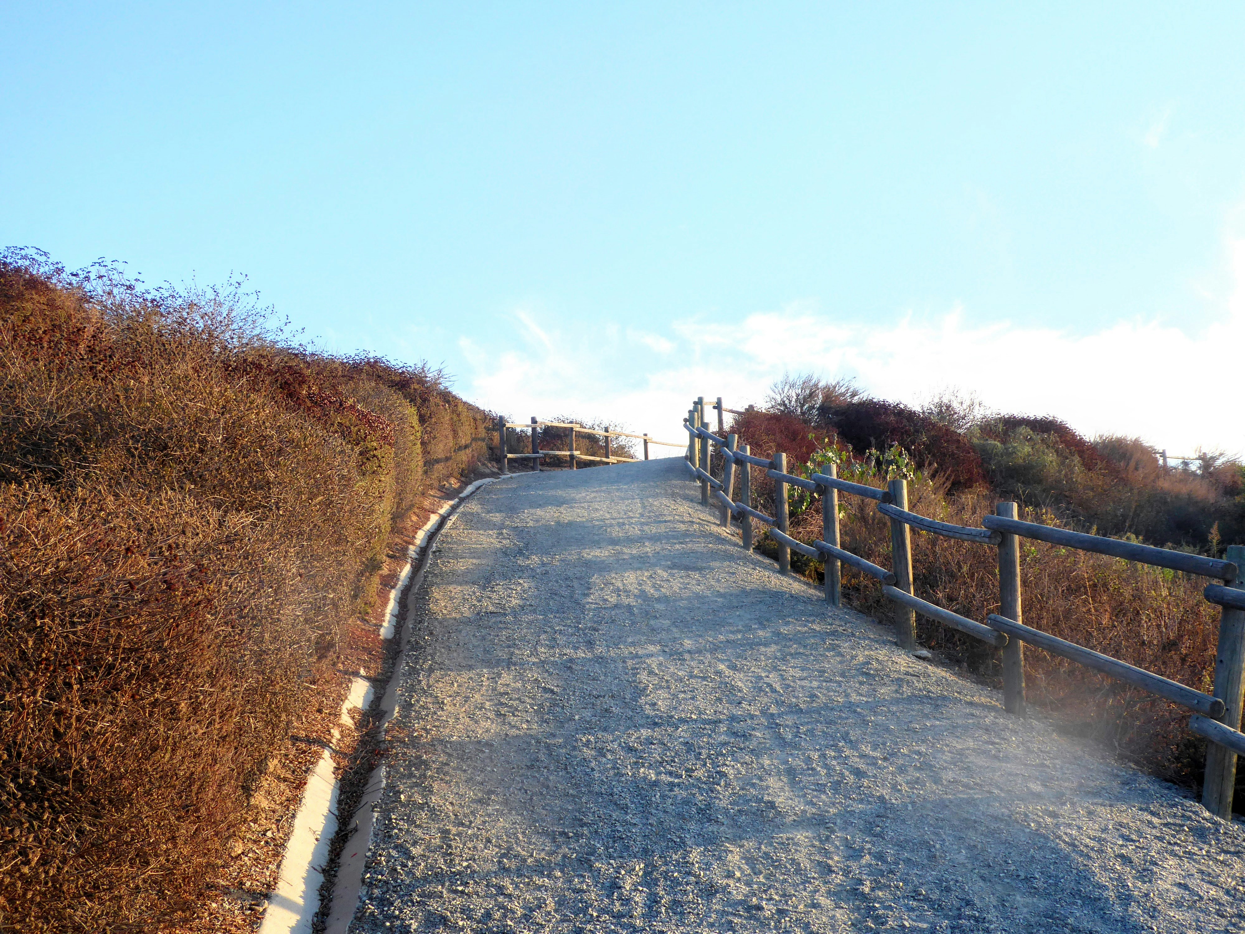 A dirt road with a wooden fence next to it