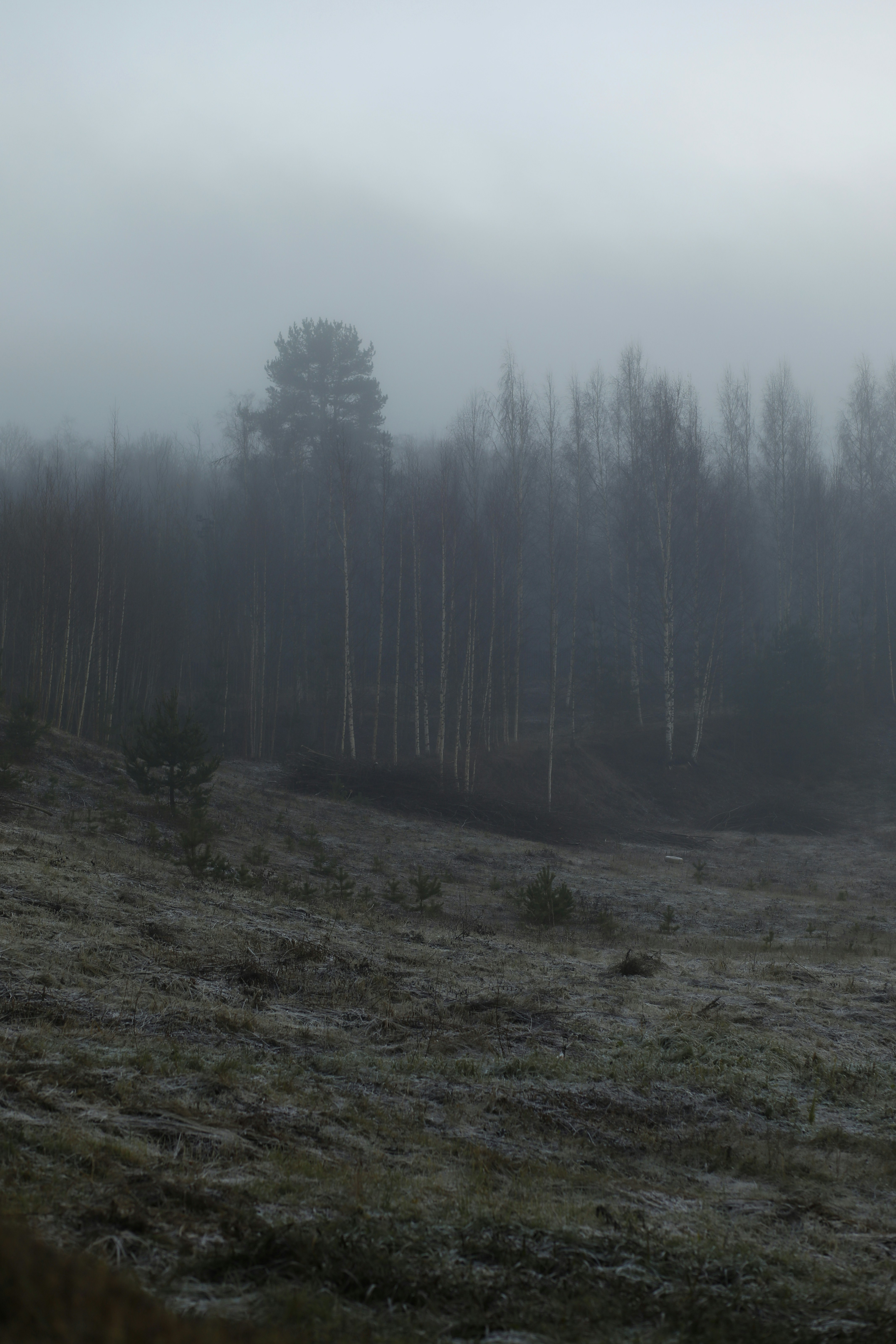 Photo by elimarriott