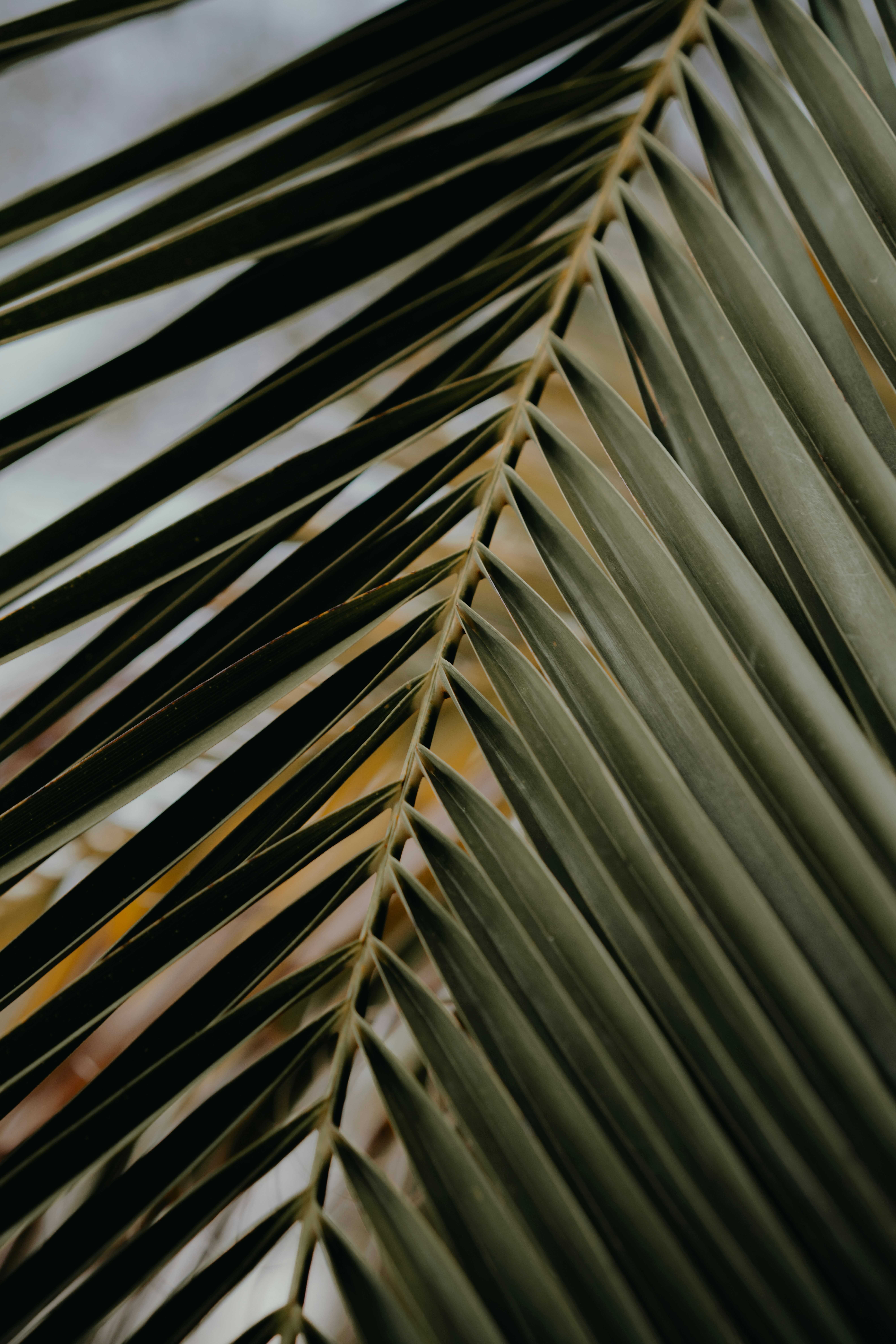 Photo by dimadallacqua