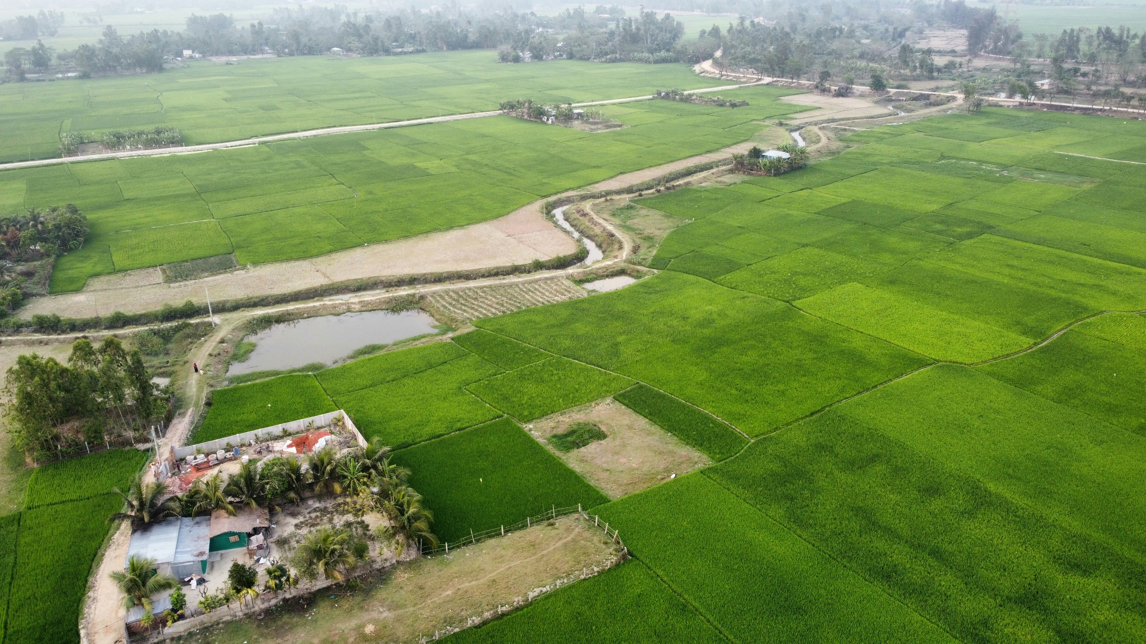 Photo by rahimsaikat
