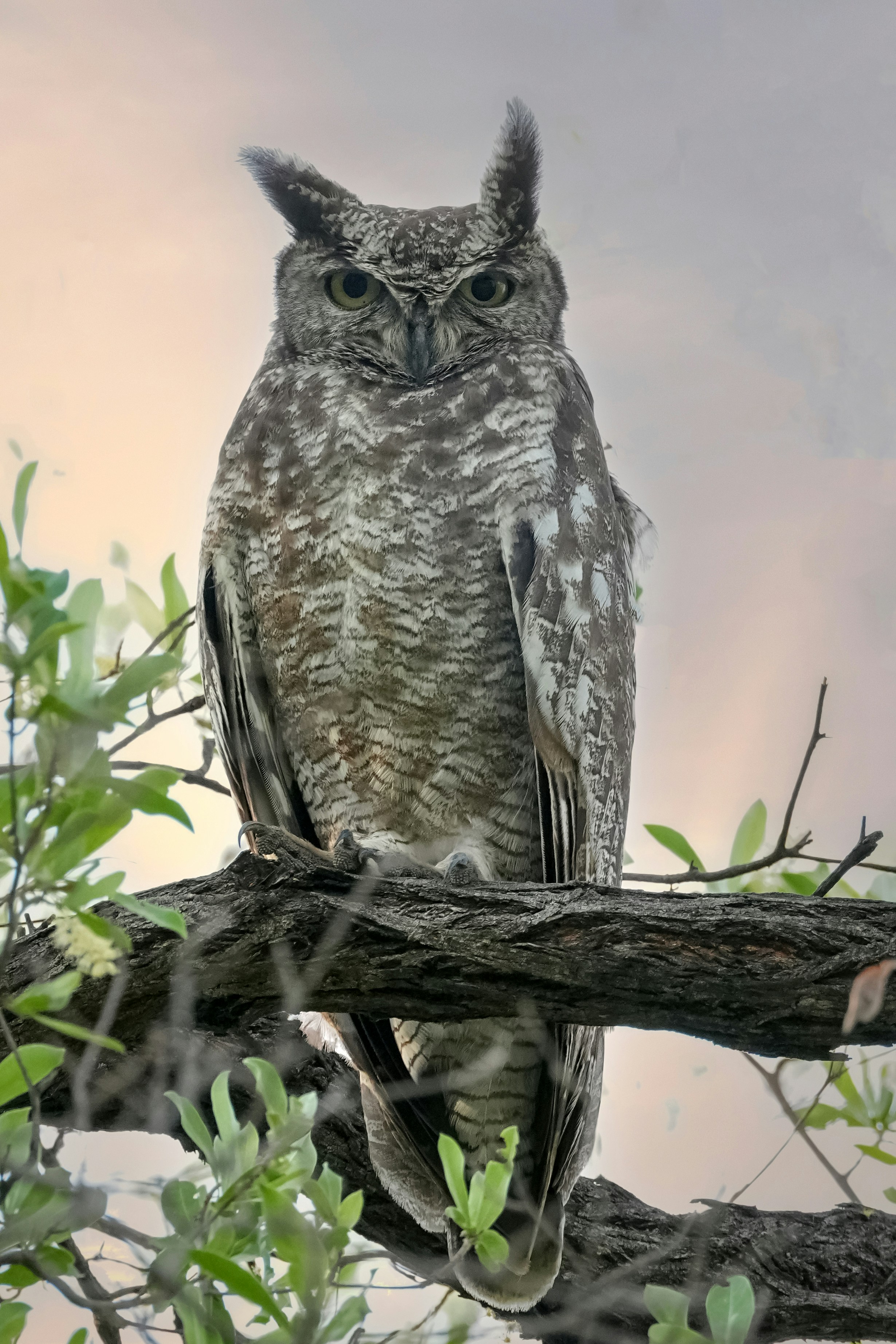 Rundu – Activities & Attractions