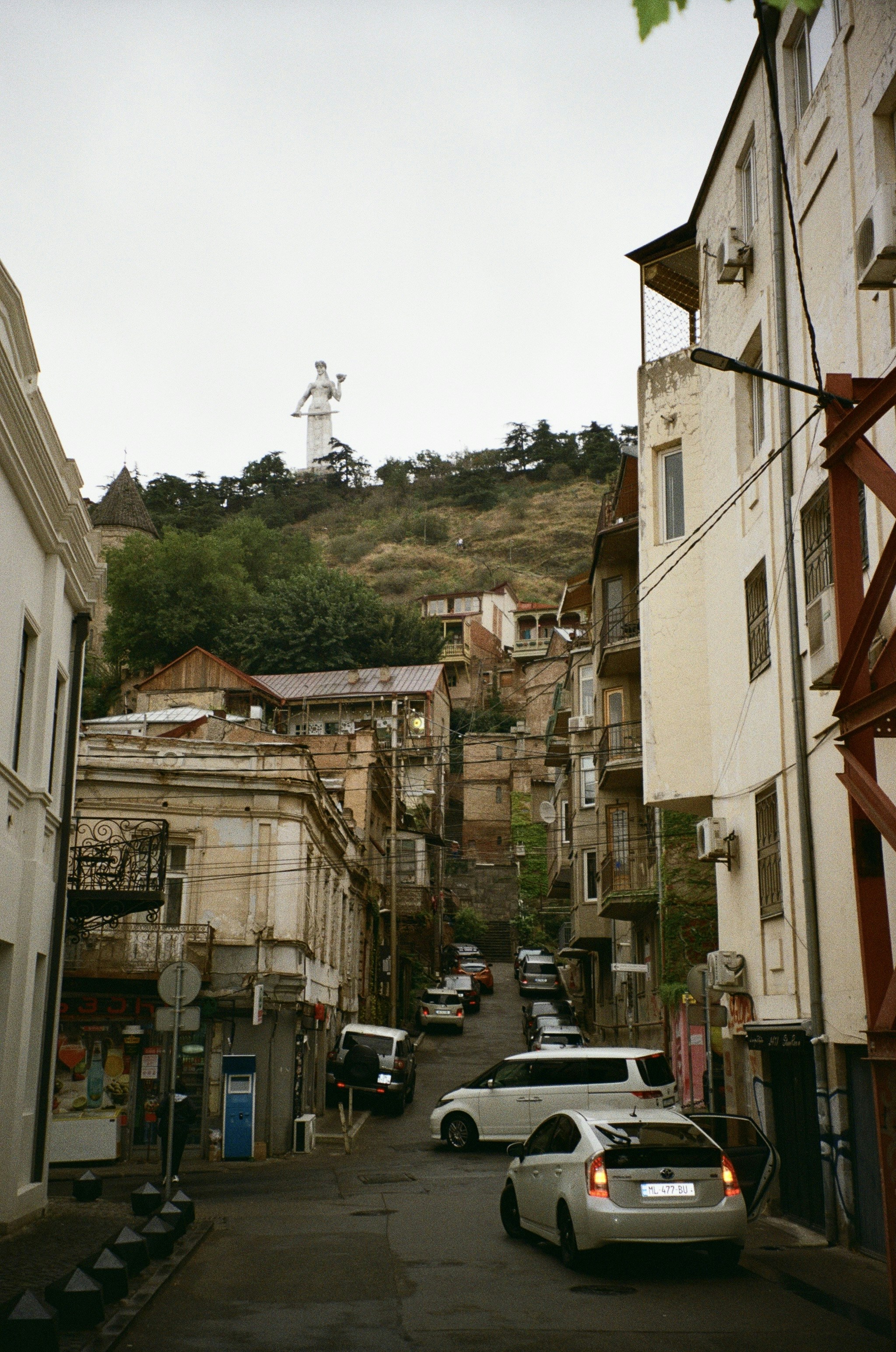 High-Quality Georgian Wine from Mountain Vineyards