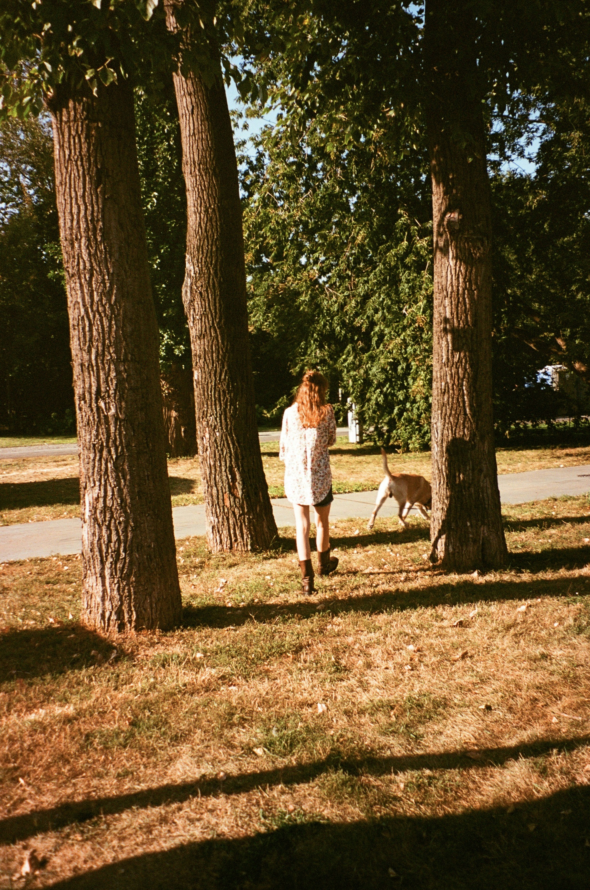 Pet Sitting and Dog Walking: A Fun Way to Earn