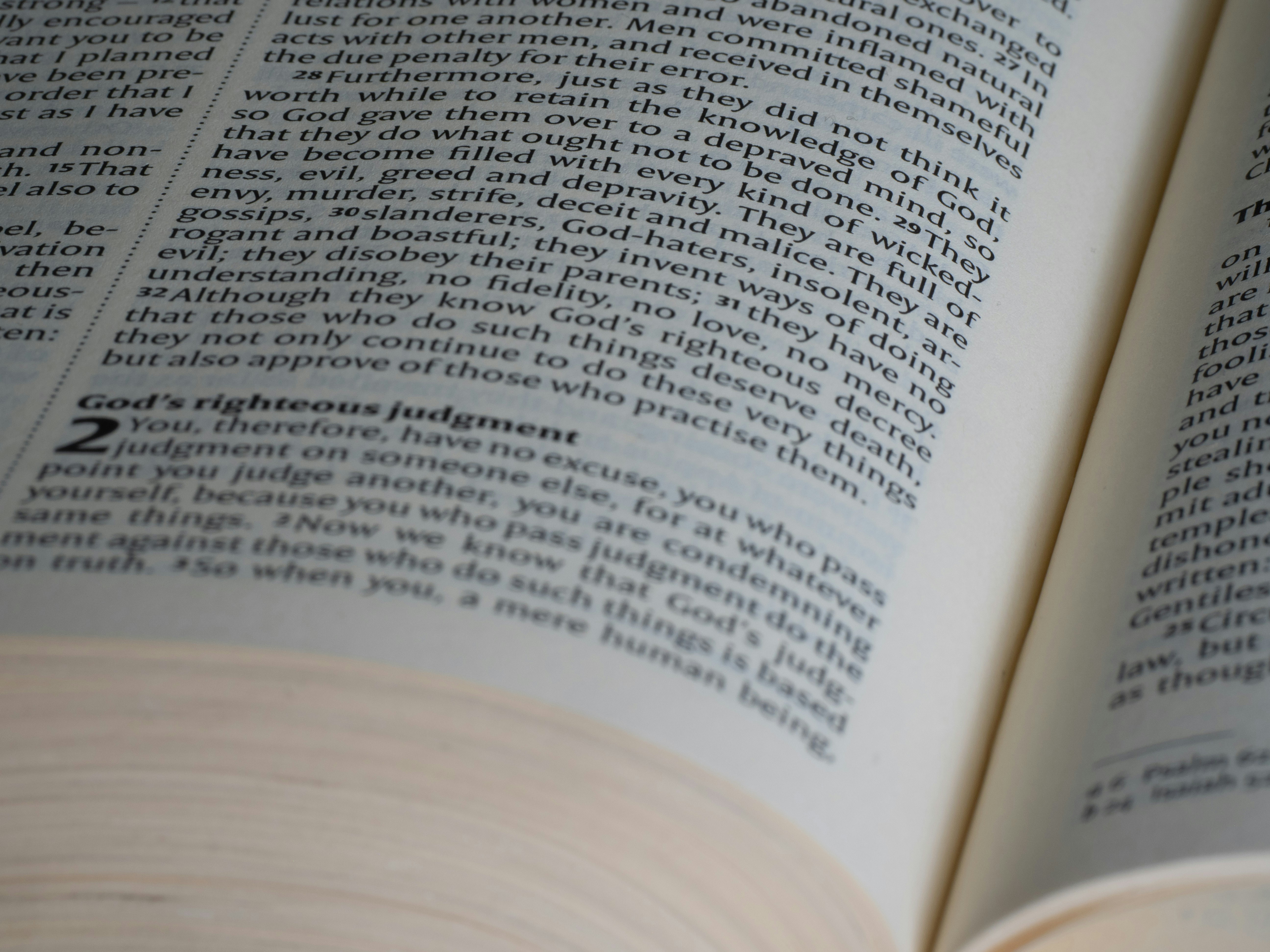 Photo by brett_jordan