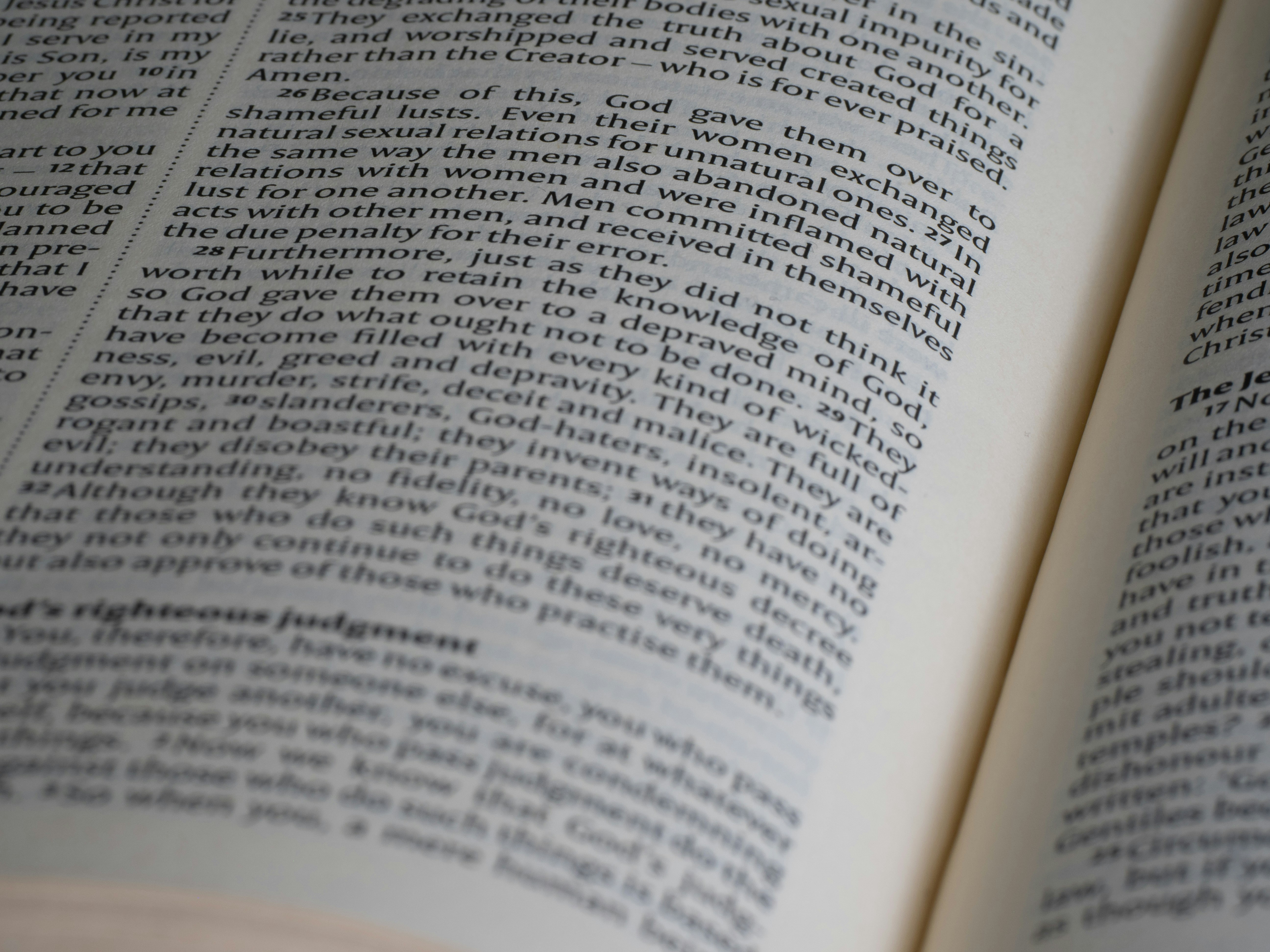 Photo by brett_jordan