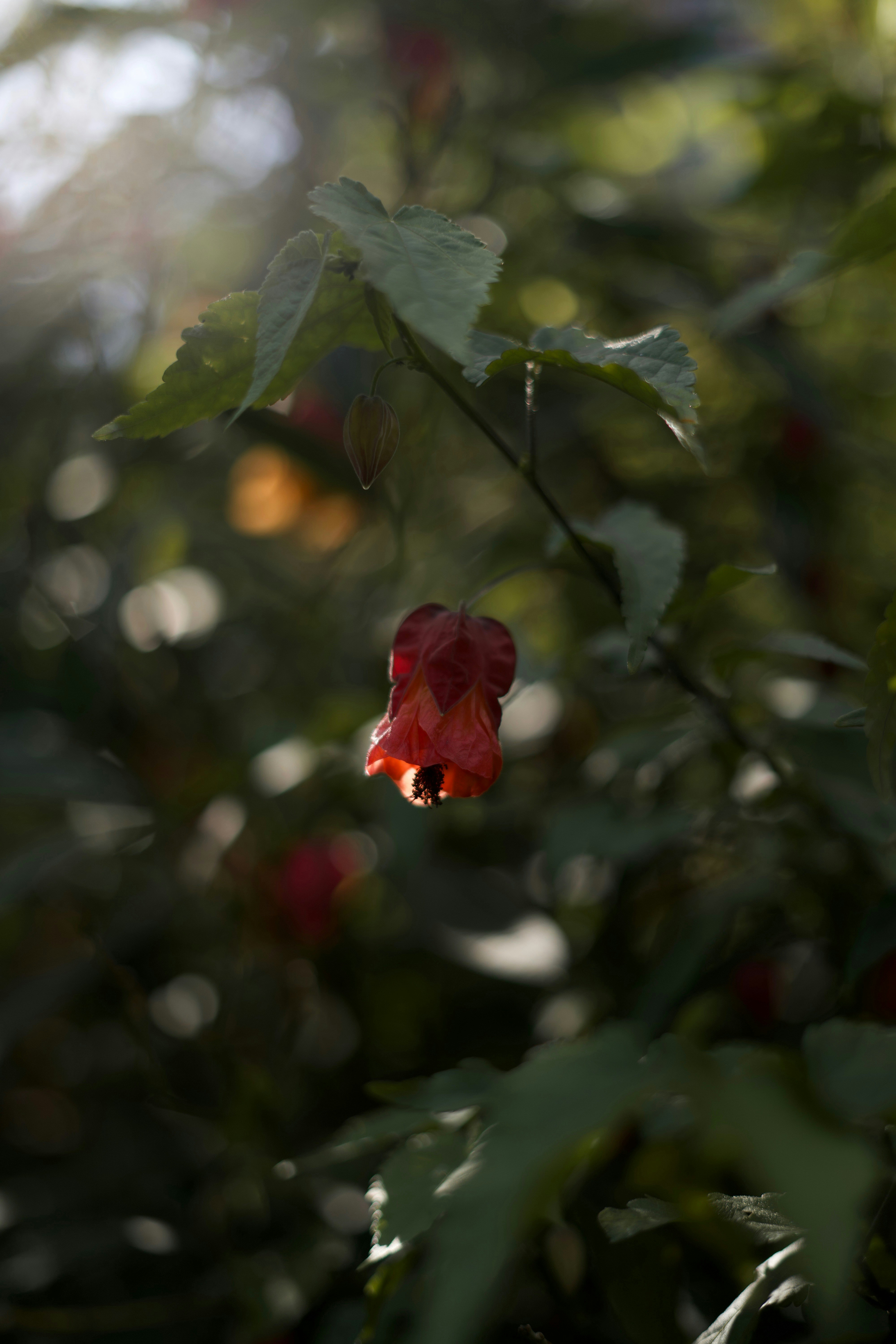 Photo by kris_verityamm