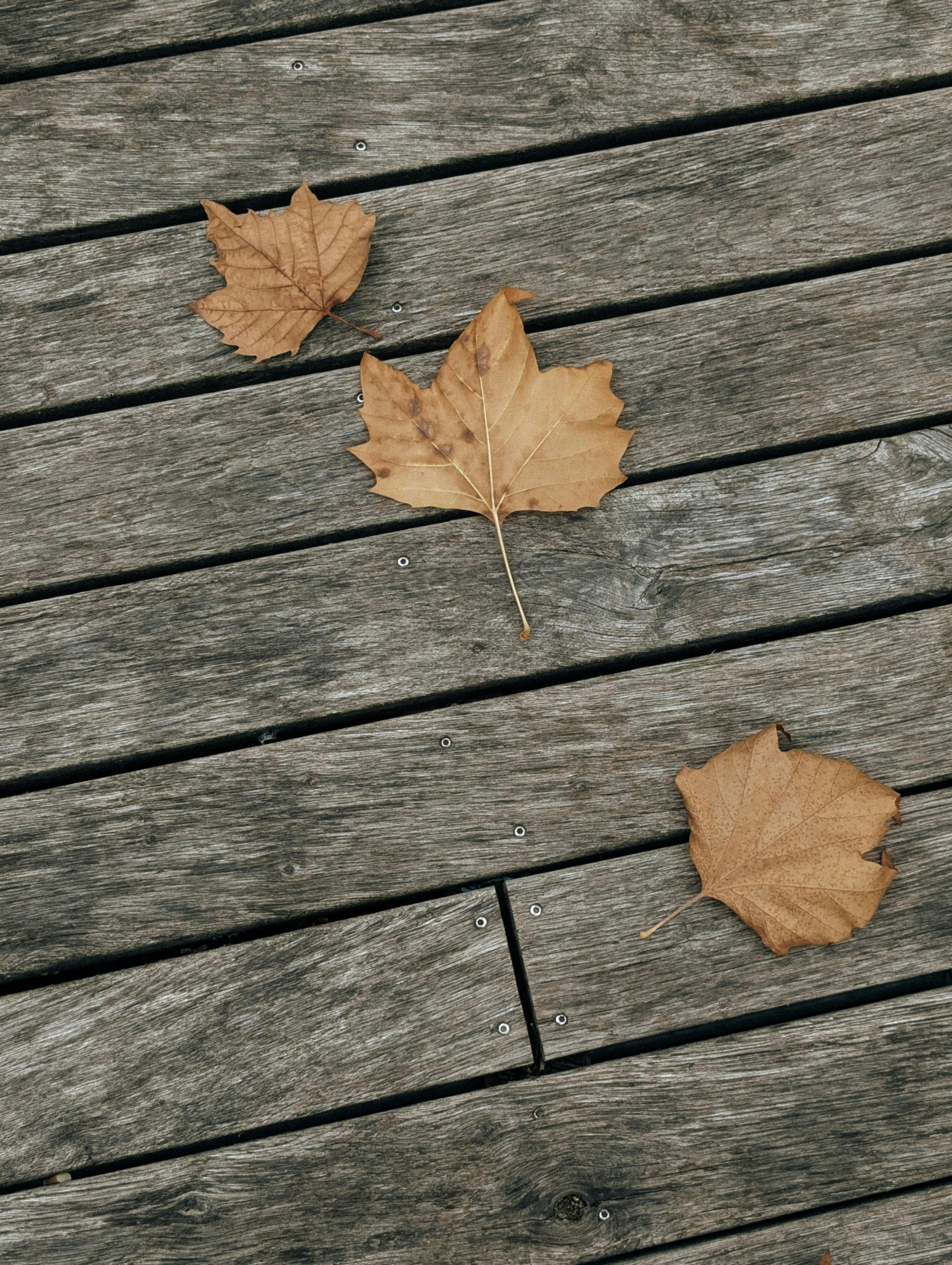 Photo by zvada_photo