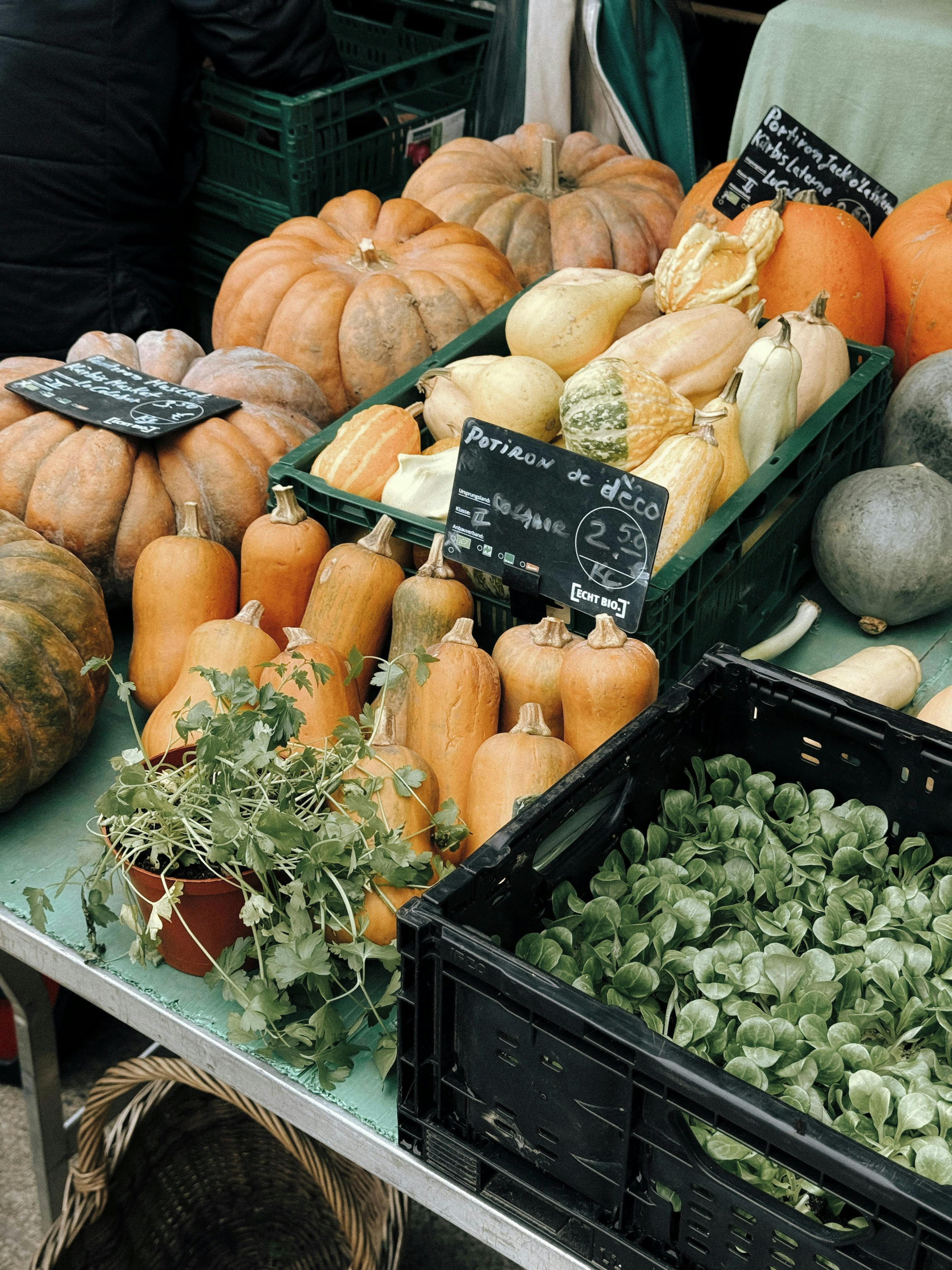 Photo by zvada_photo