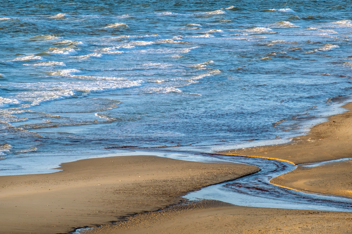 En sandstrand ved havet, med bølger