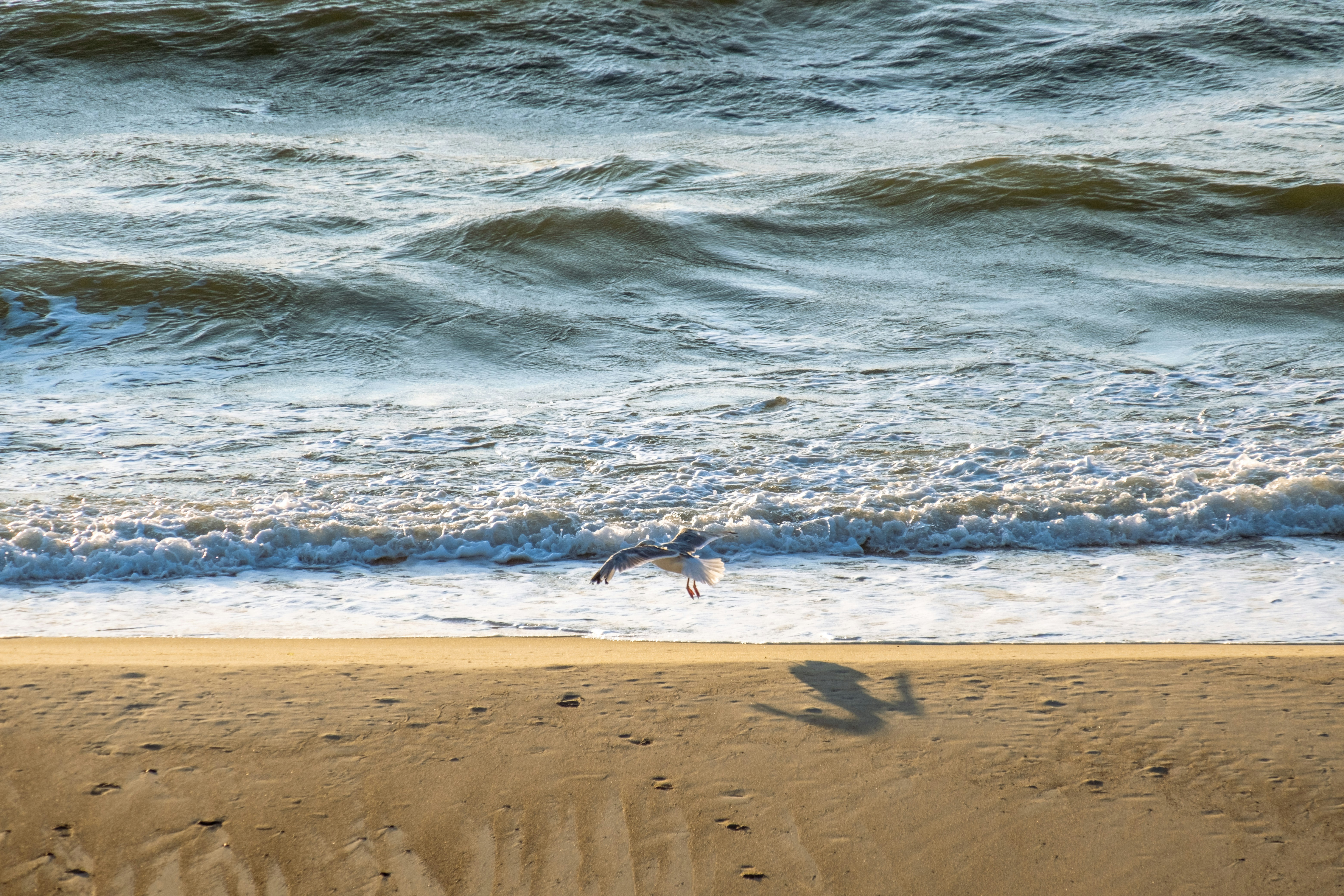 Photo by julia_oberhauser