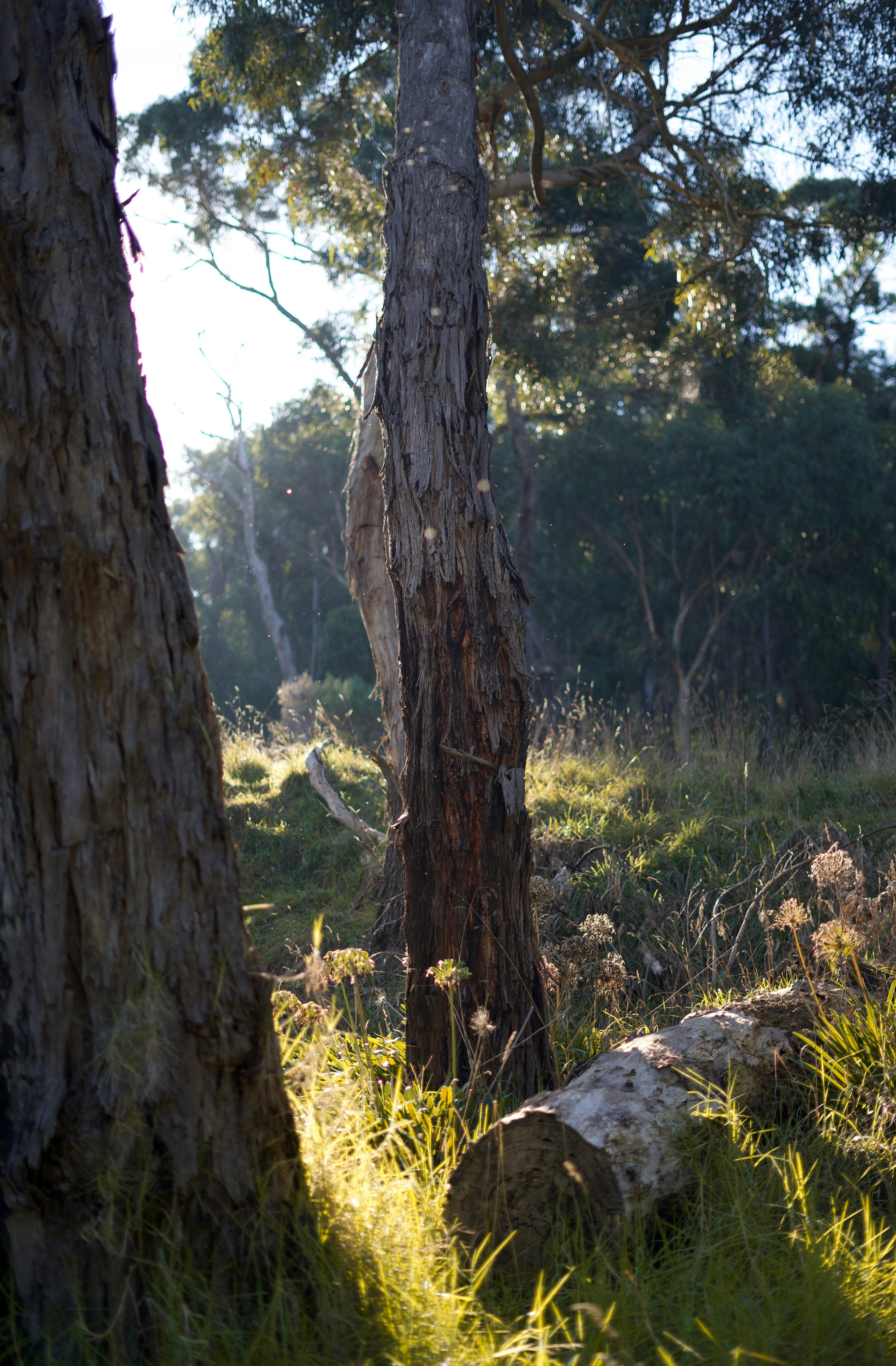 Photo by kris_verityamm