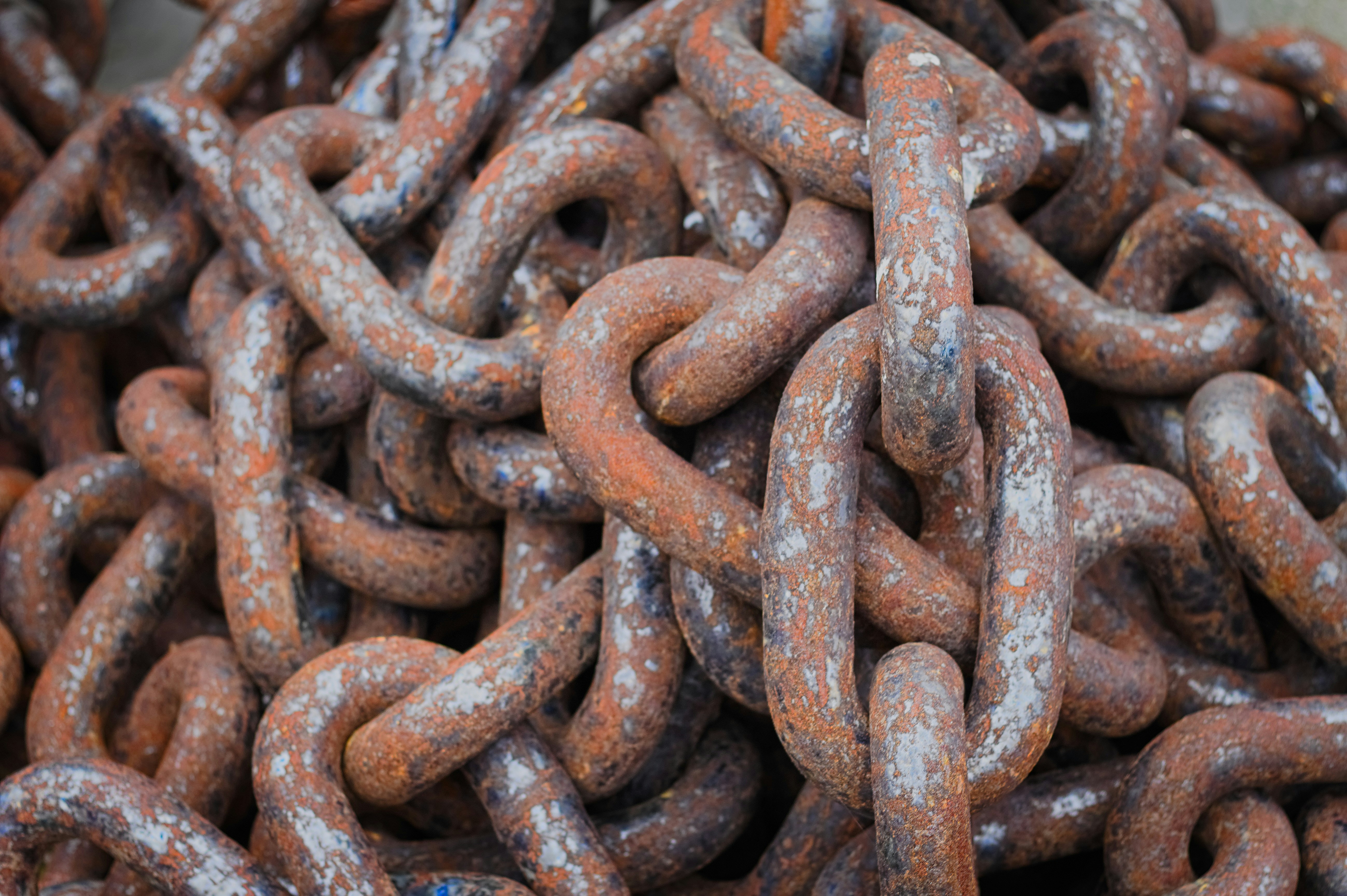 The NPM Worm That Compromised Postman and Zapier