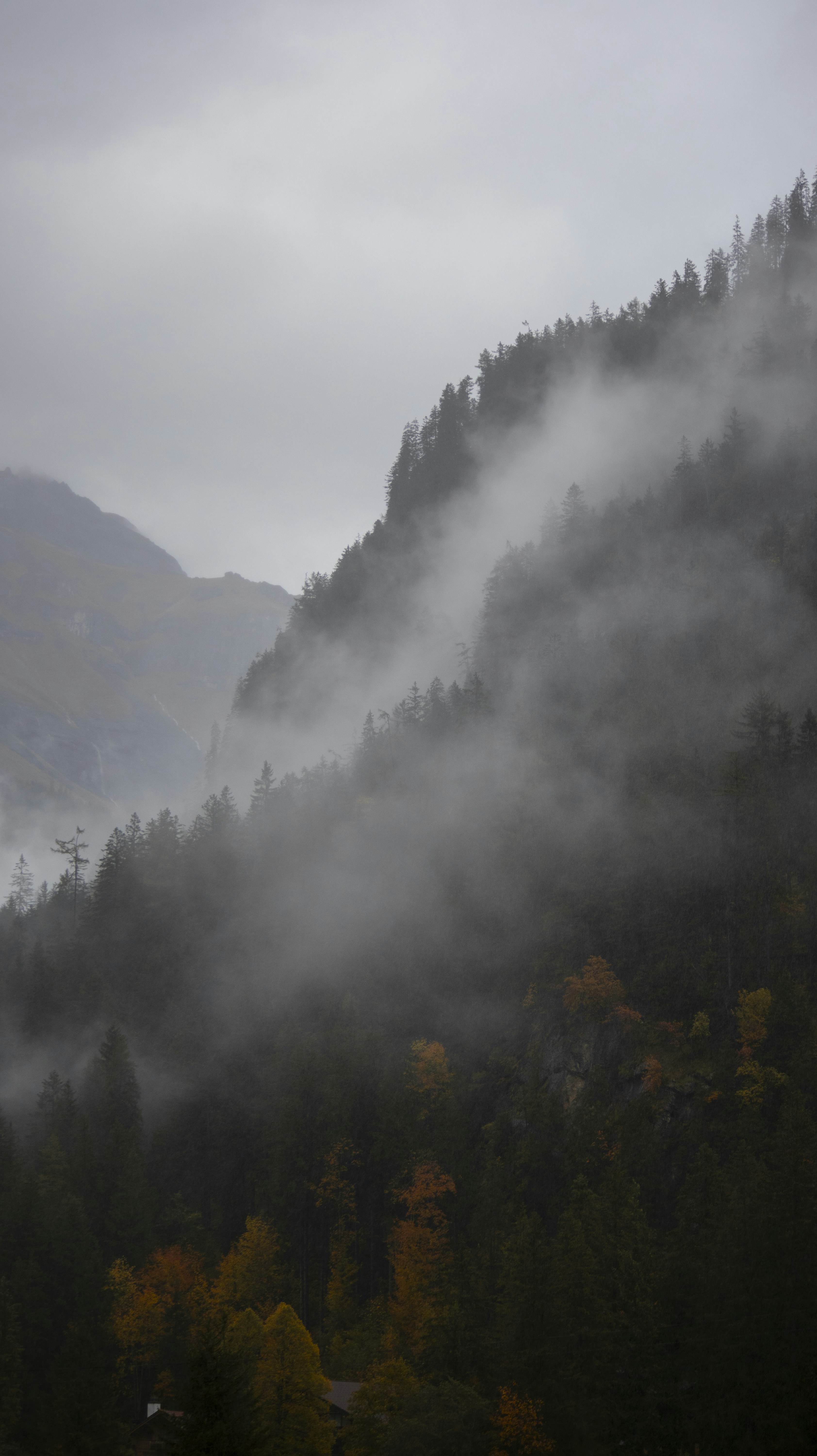 Photo by michaelvg94