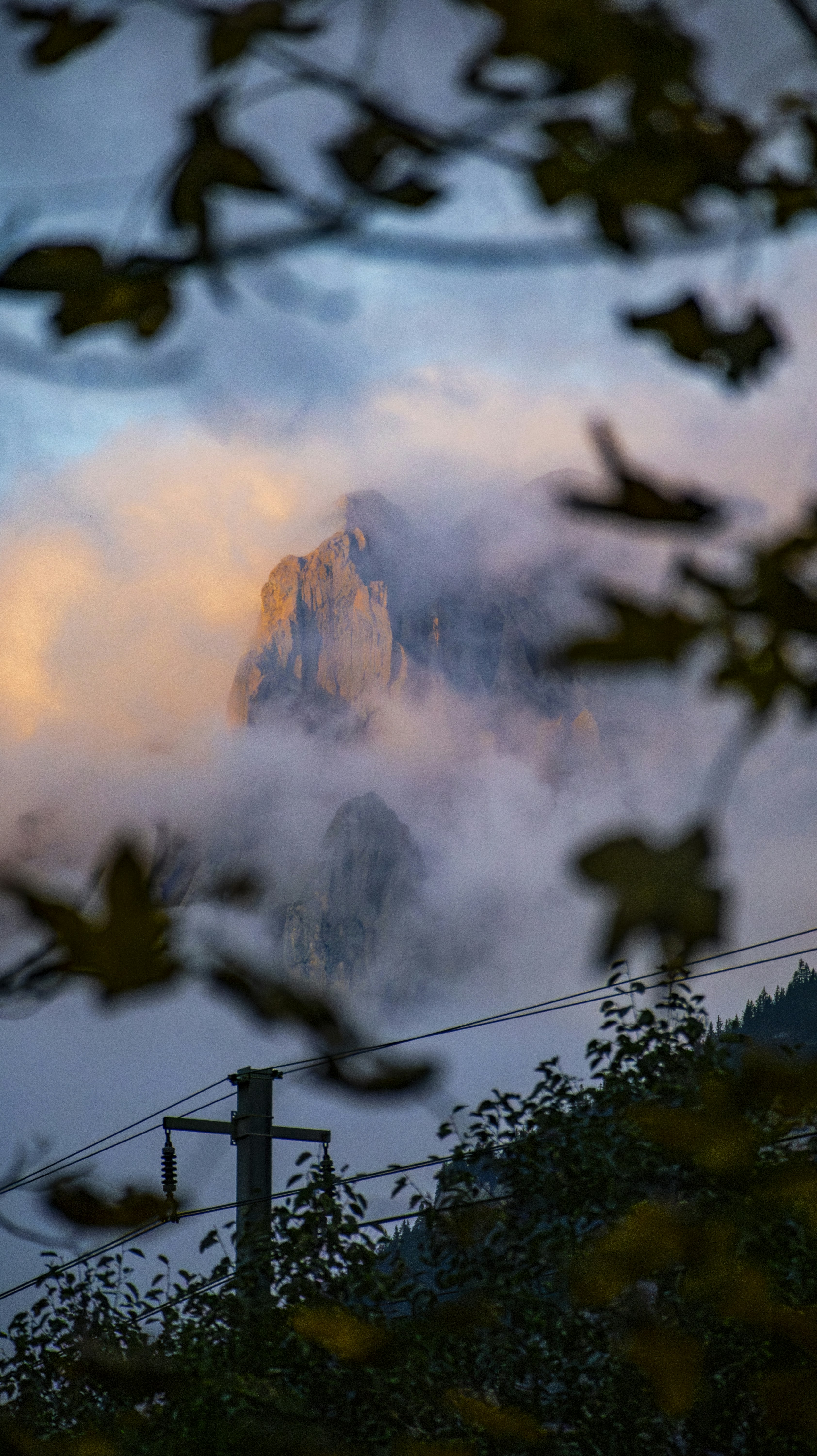 A view of a mountain through some trees