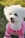 A small white dog wearing a pink shirt