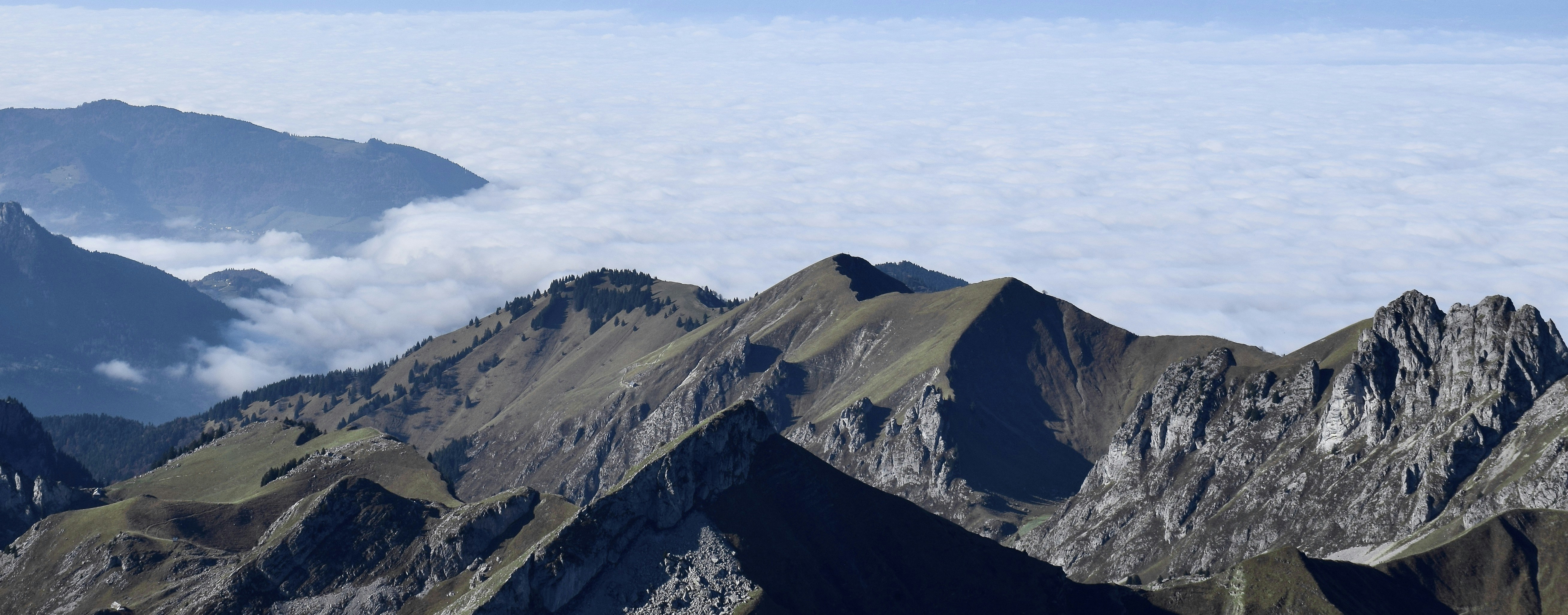 Altitude Training Supplements: What Actually Works for Hypoxic Adaptation