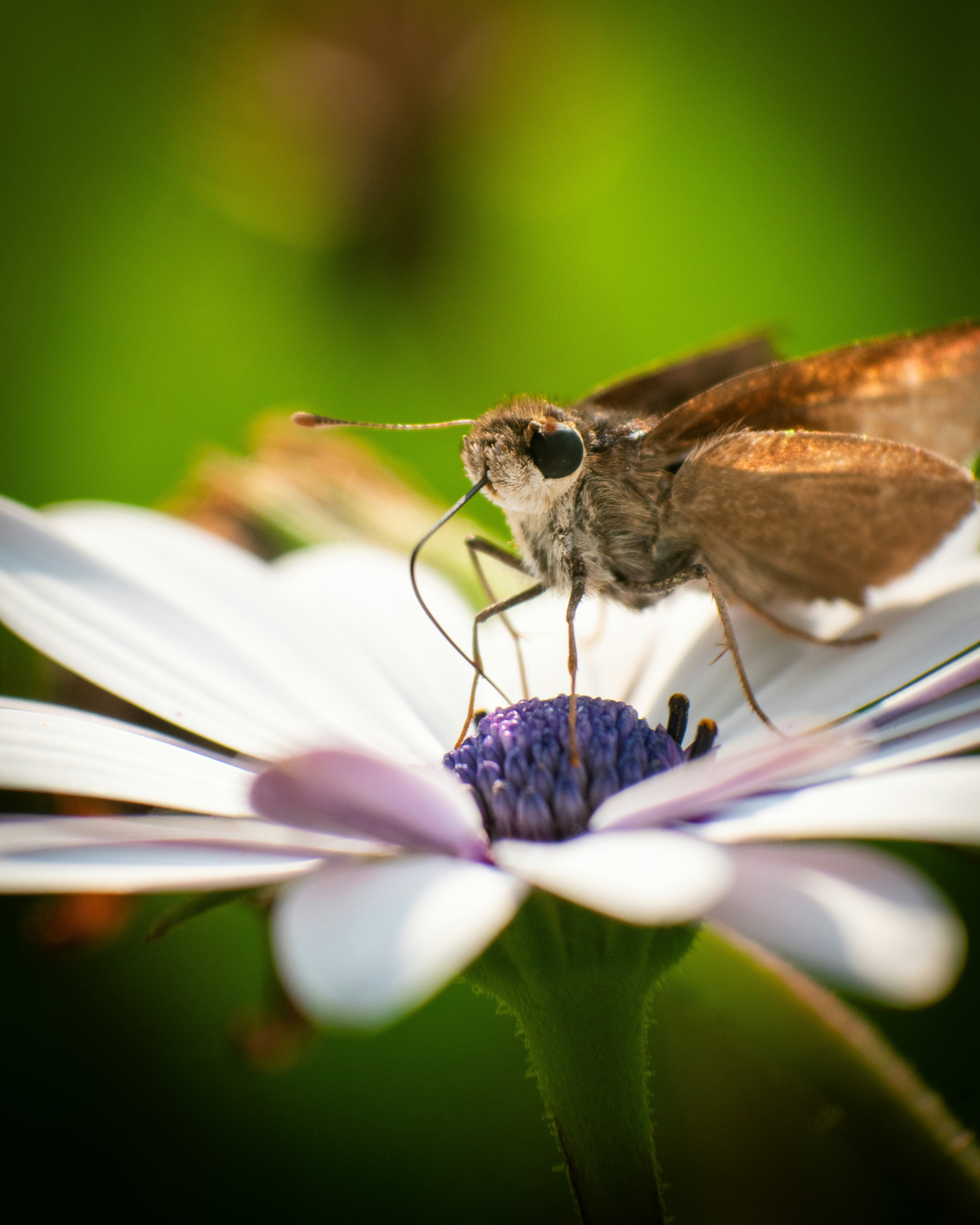 Photo by alcapital