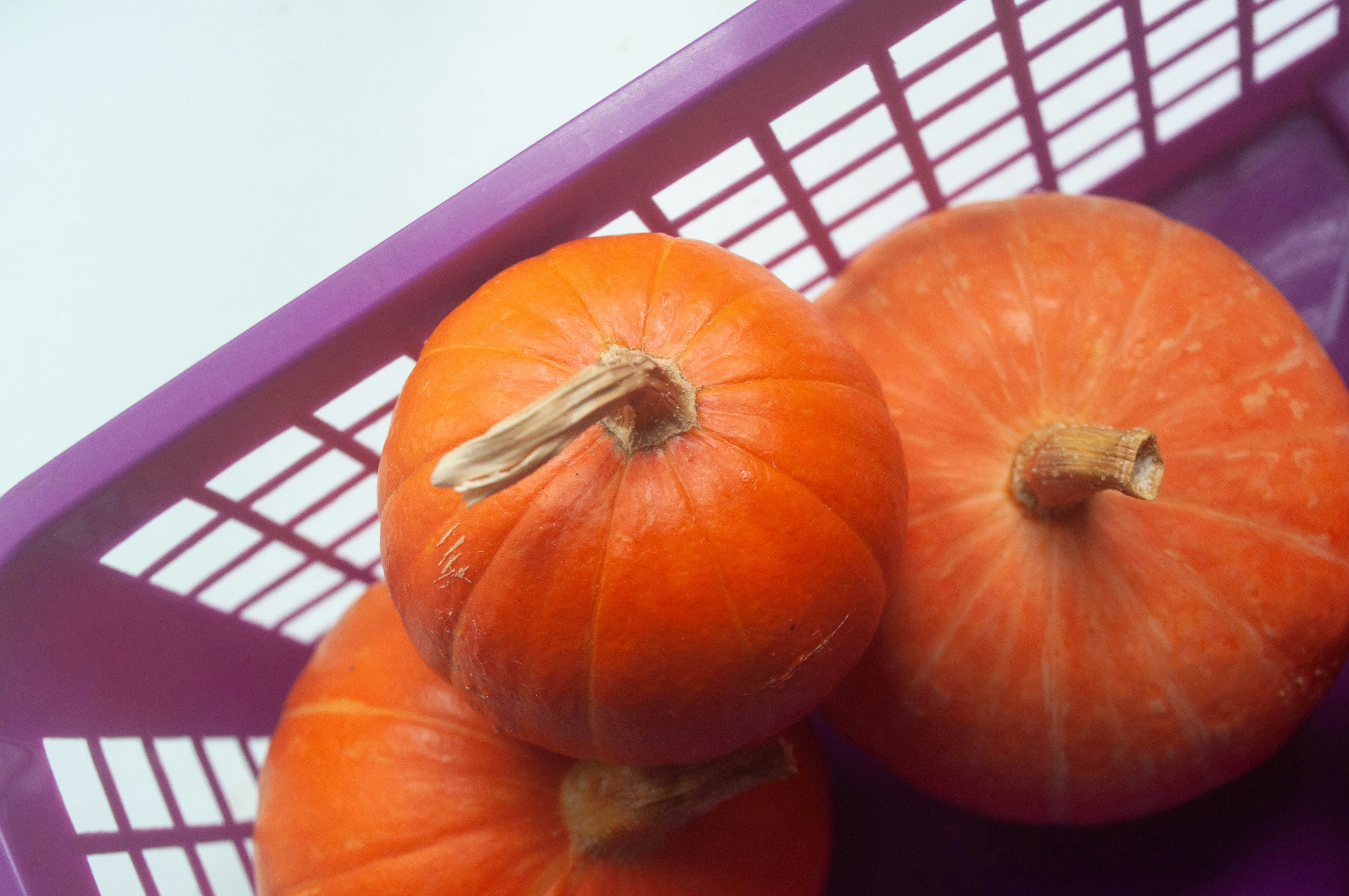 Three orange pumpkins sitting in a purple basket