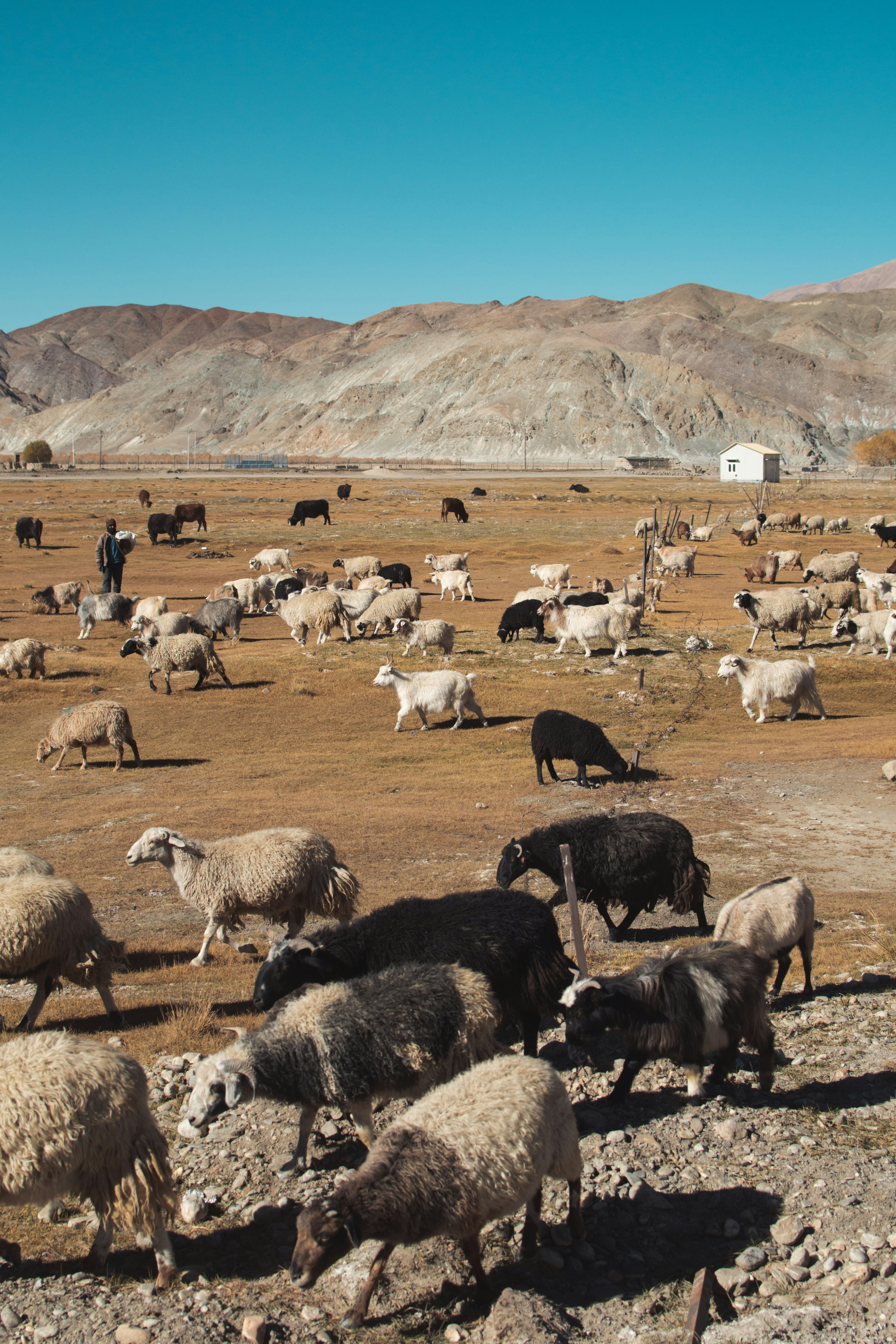 Photo by daminirathore