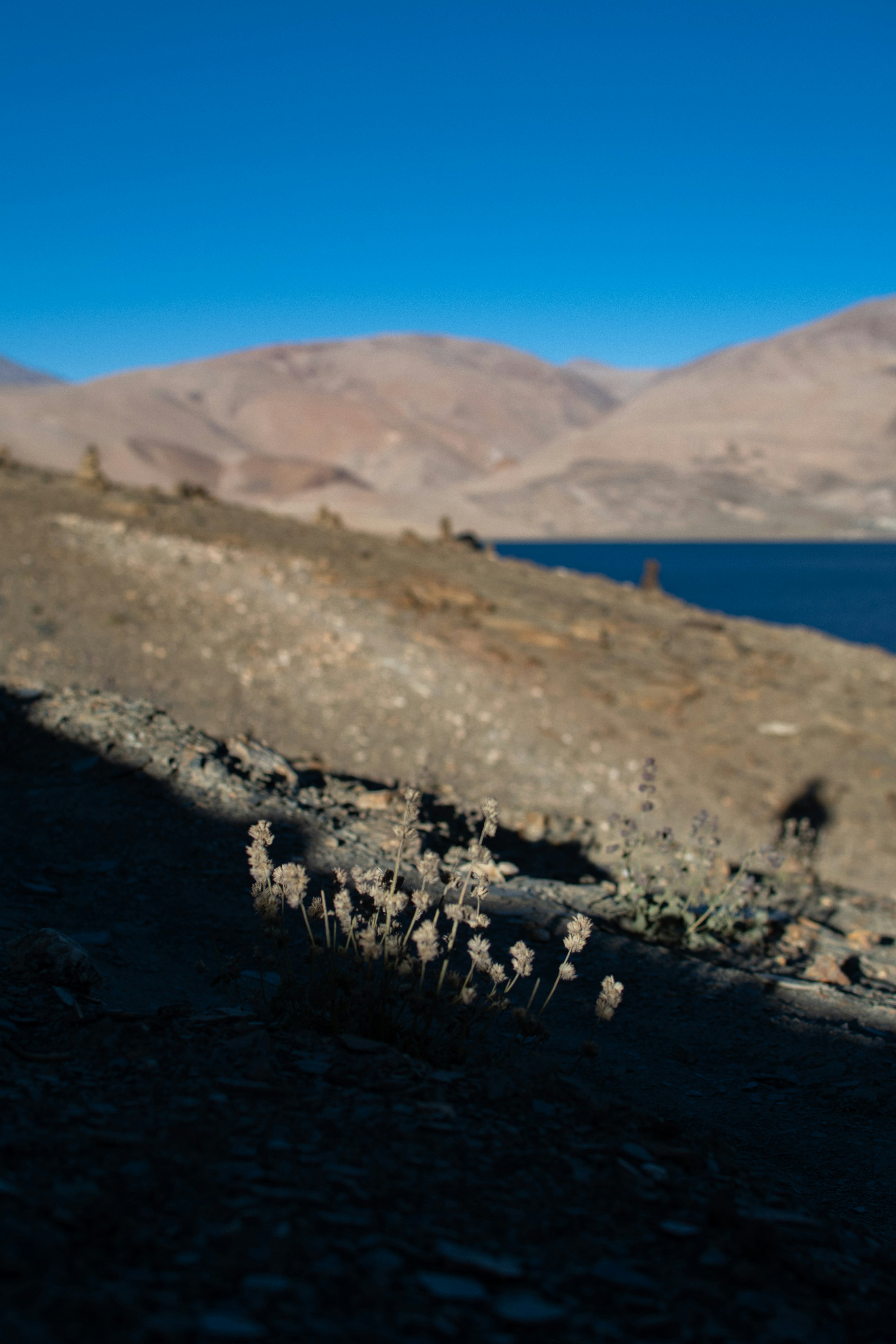 7 Leh‑Ladakh Adventure Travel Beginner Treks With Cultural Landmarks