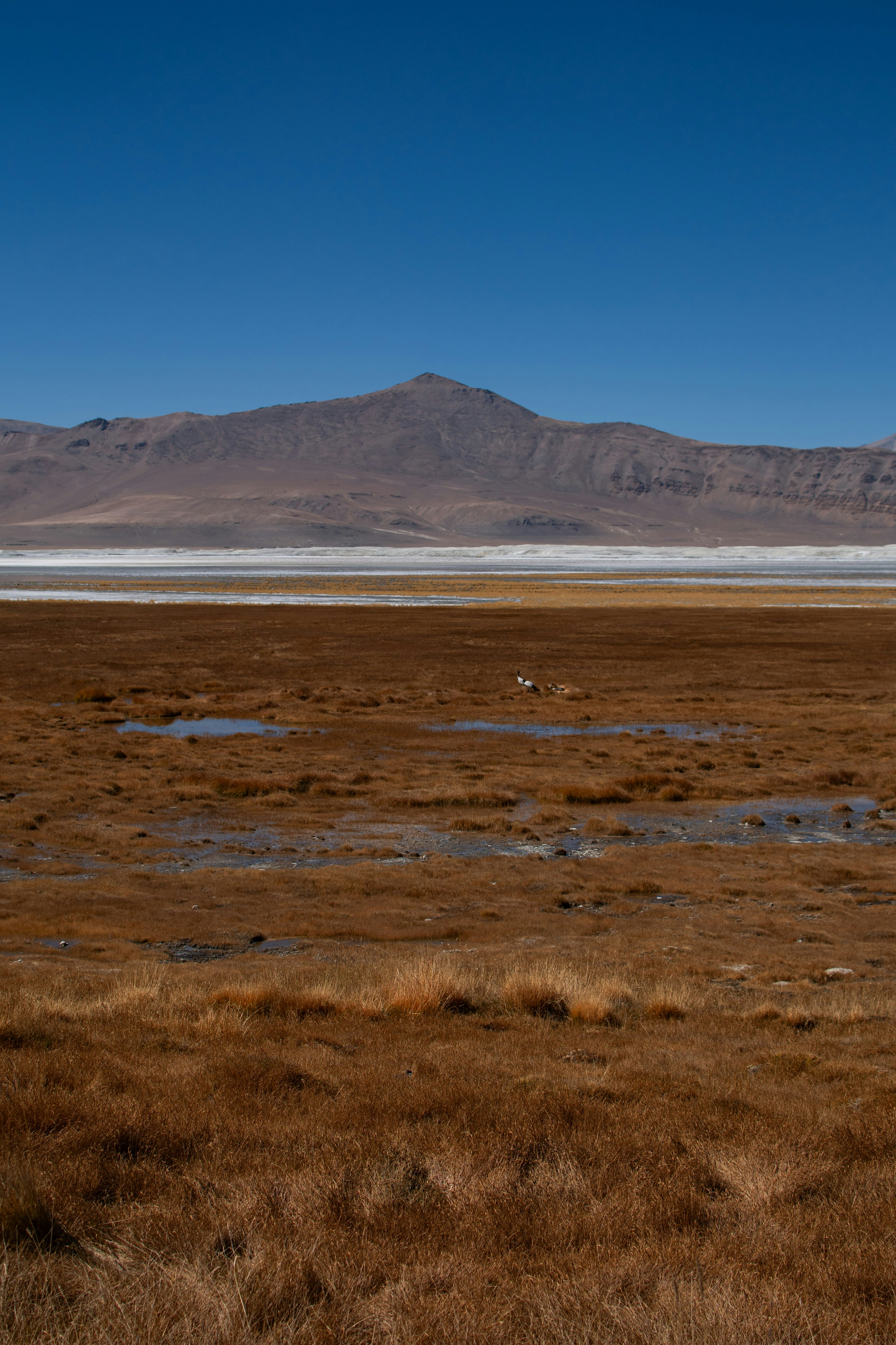 Photo by daminirathore