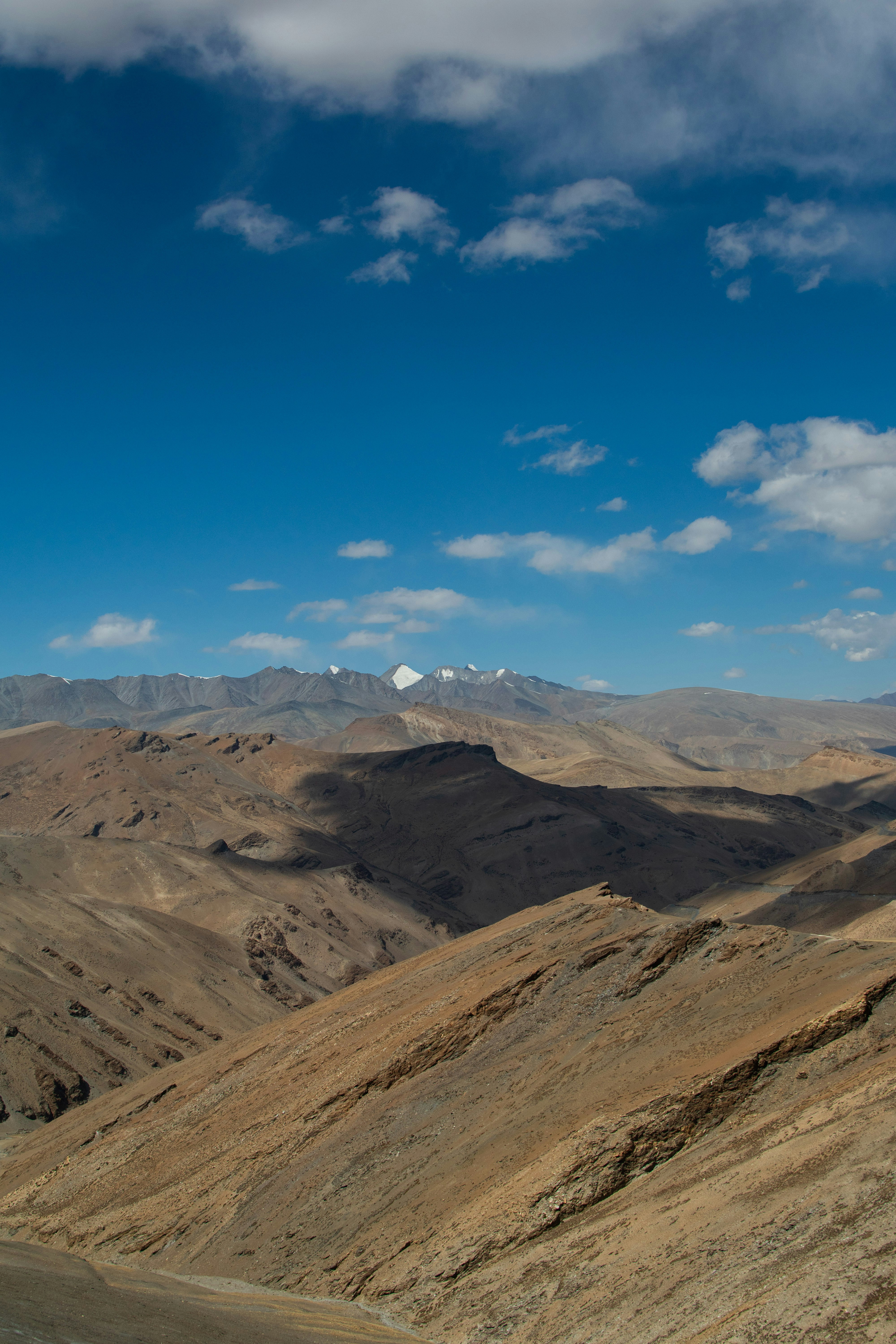 Photo by daminirathore