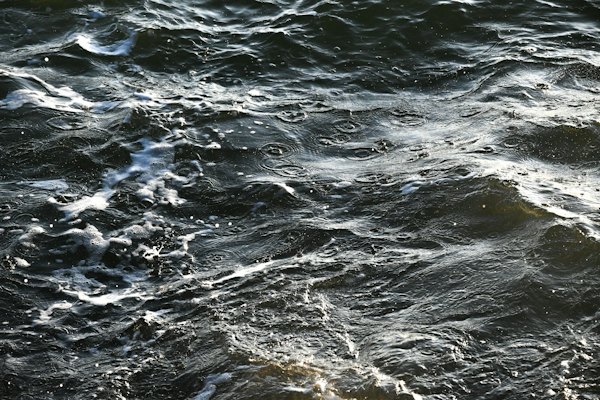 A bird flying over a body of water — Fiji, Fiji