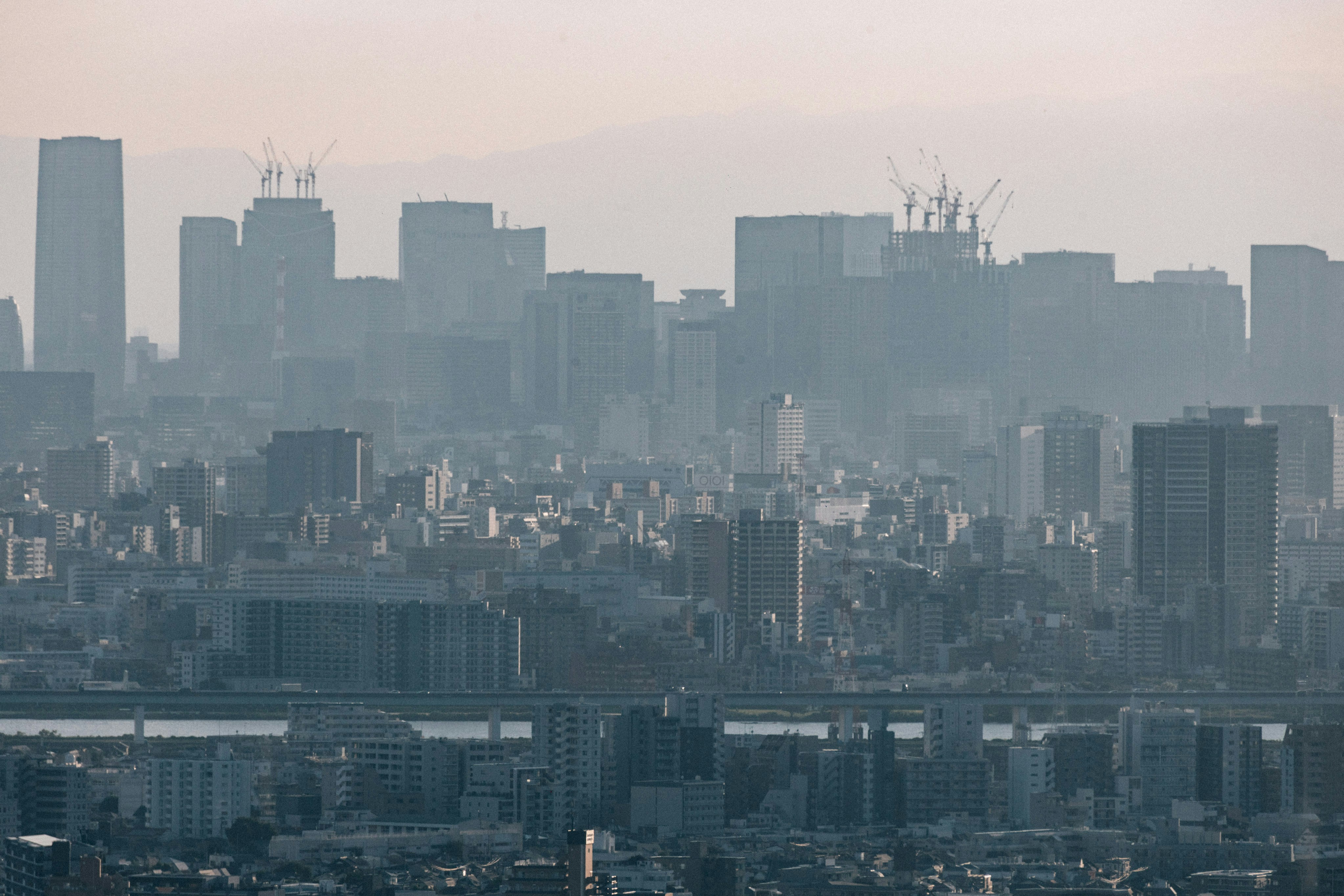 Photo by tsuyoshikozu