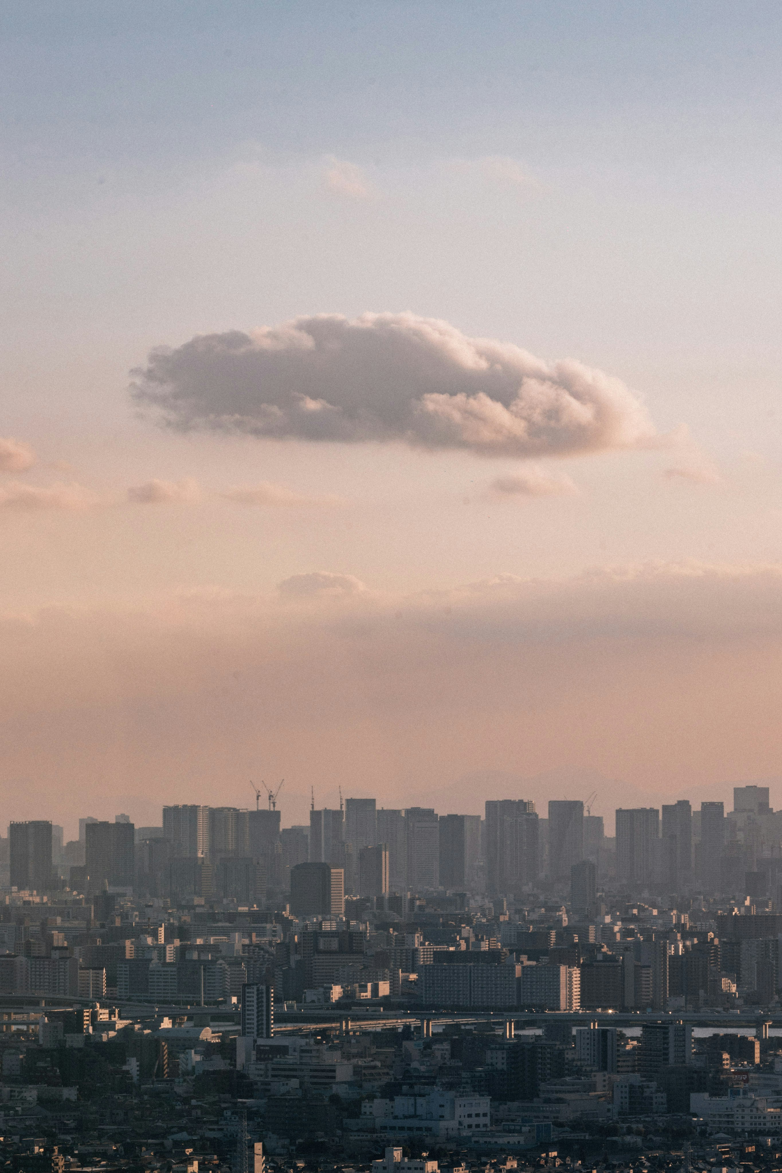 Photo by tsuyoshikozu