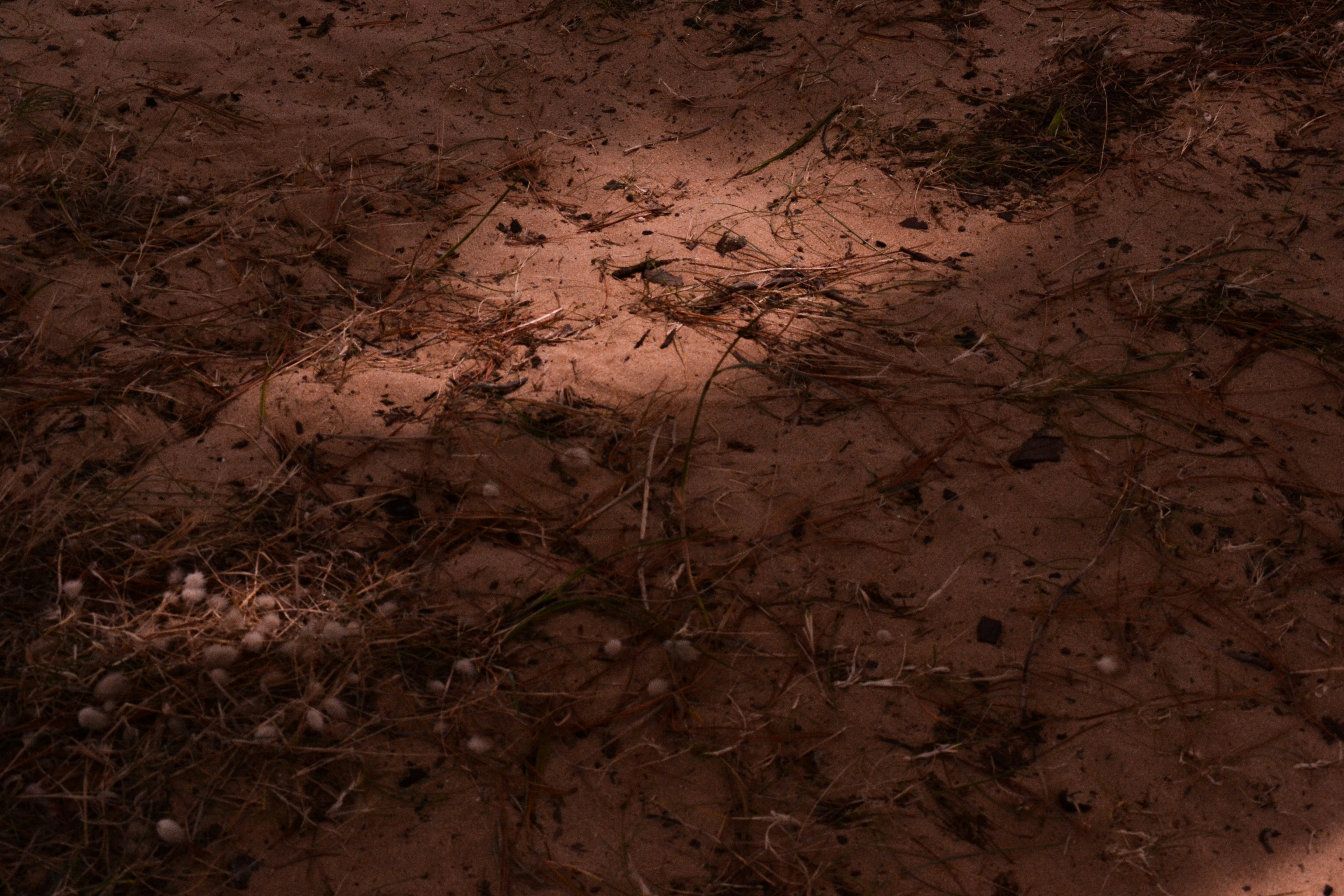 The shadow of a baseball bat on the ground